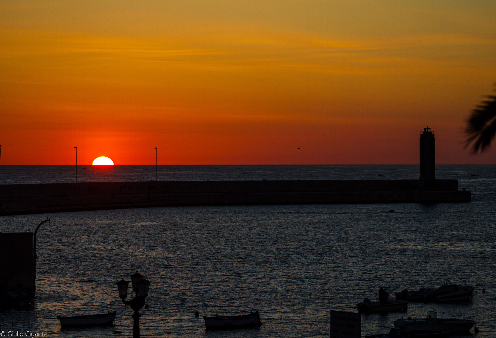 Canon EOS 7D + Canon EF 90-300mm F4.5-5.6 sample photo. L'alba photography