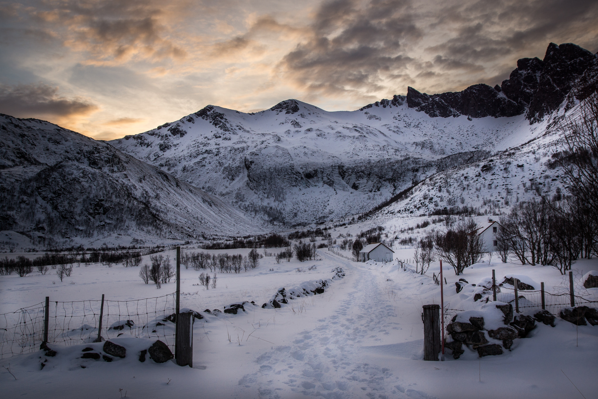 Sony SLT-A65 (SLT-A65V) sample photo. Lofoten in winter photography