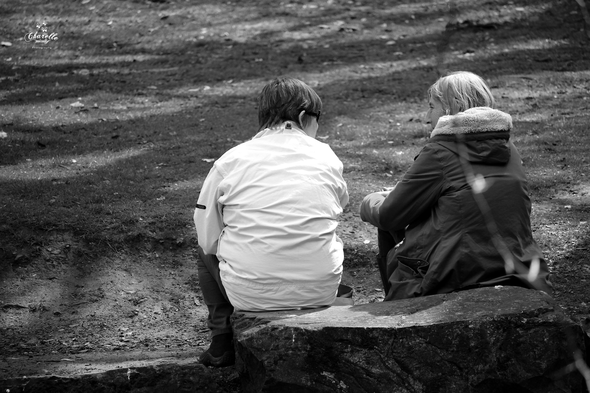 Canon EF-S 55-250mm F4-5.6 IS STM sample photo. Friendship... photography