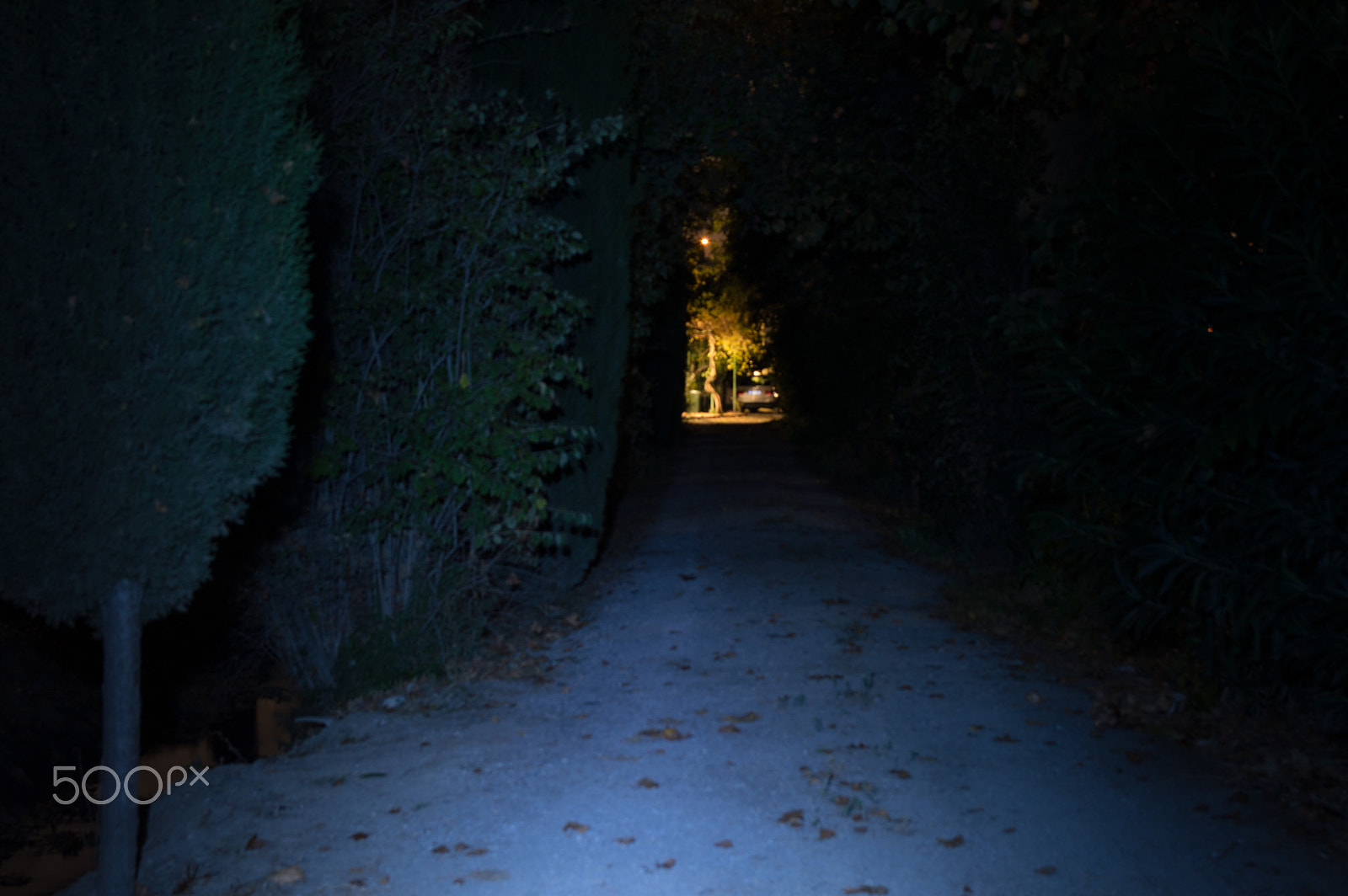 Nikon D3200 + Sigma 17-50mm F2.8 EX DC OS HSM sample photo. Alone in the dark photography
