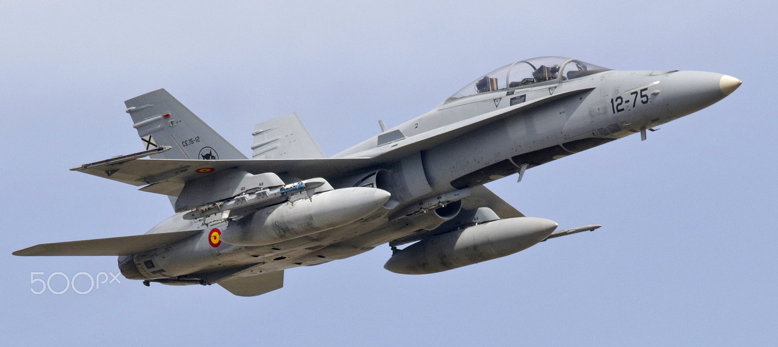 Sigma 150-600mm F5-6.3 DG OS HSM | C sample photo. Maneuvers photography