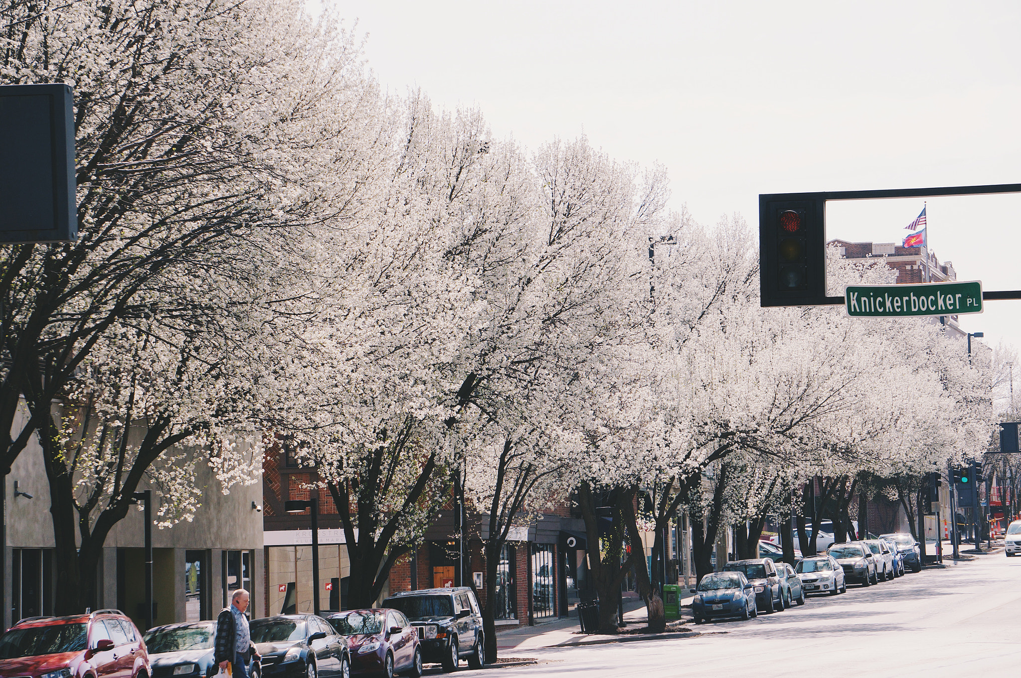 Sony Alpha NEX-6 + Sony E 55-210mm F4.5-6.3 OSS sample photo. Spring broadway kc photography