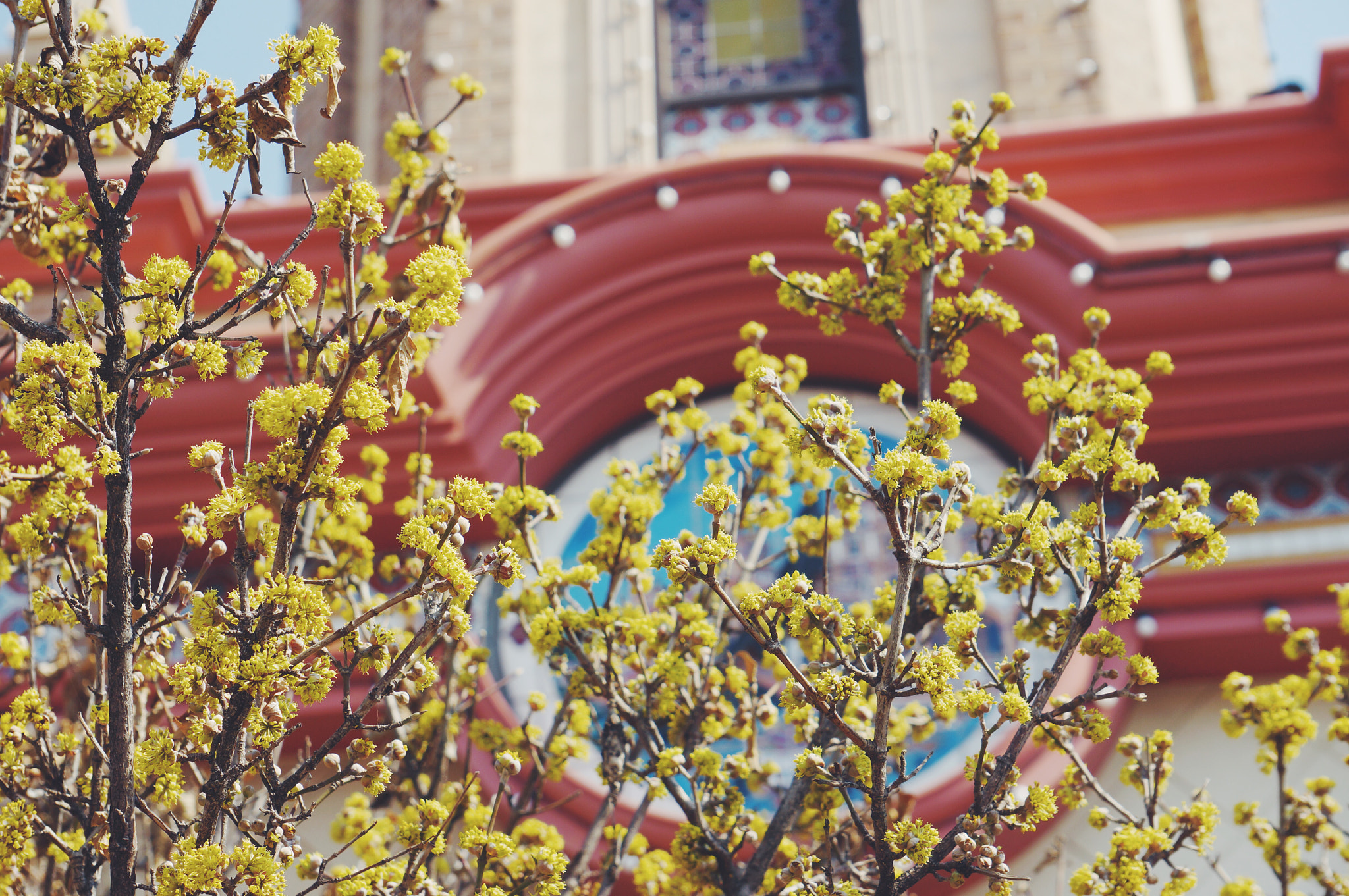Sony E 55-210mm F4.5-6.3 OSS sample photo. Spring kc plaza photography