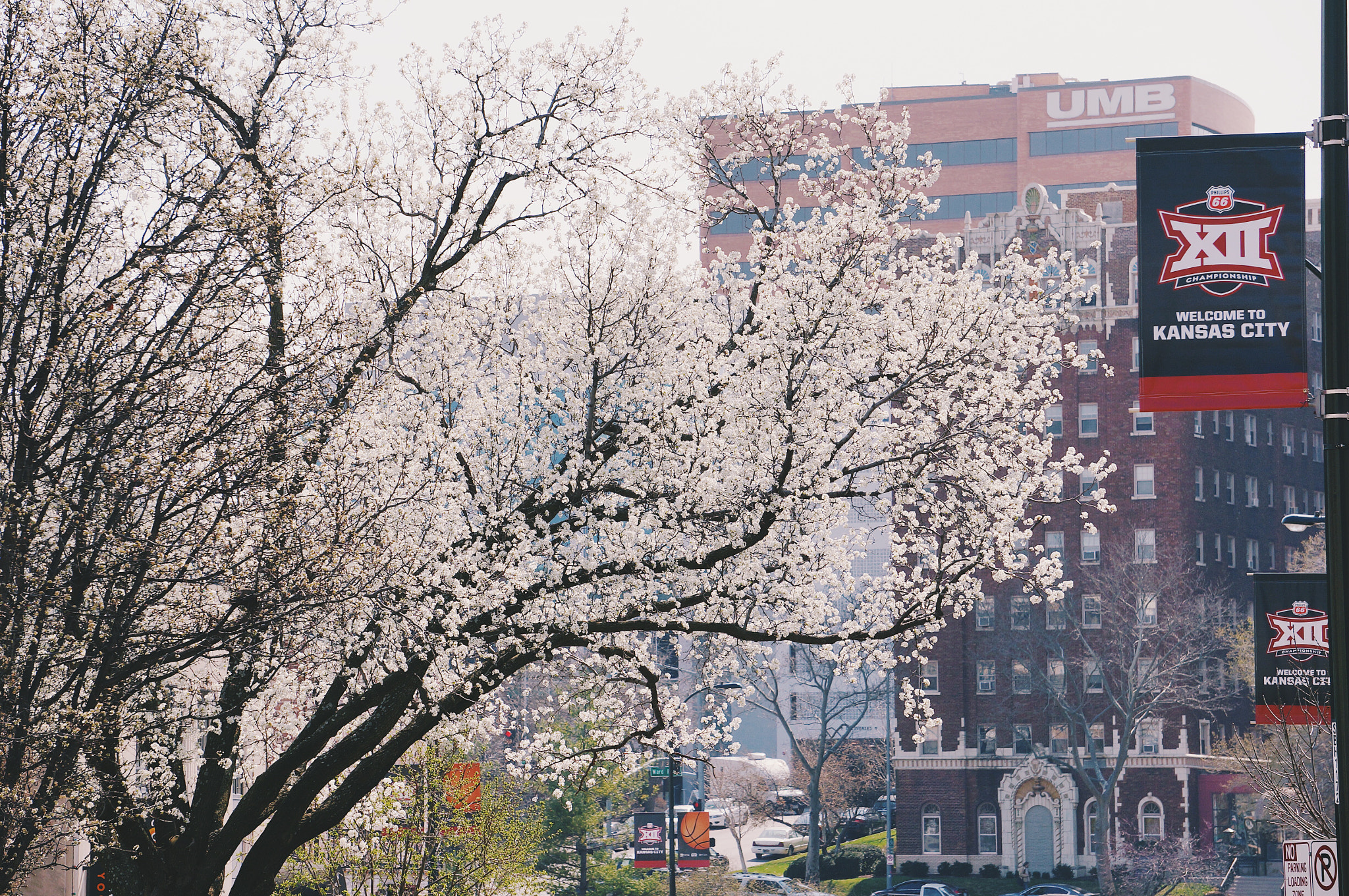 Sony E 55-210mm F4.5-6.3 OSS sample photo. Spring kc plaza photography