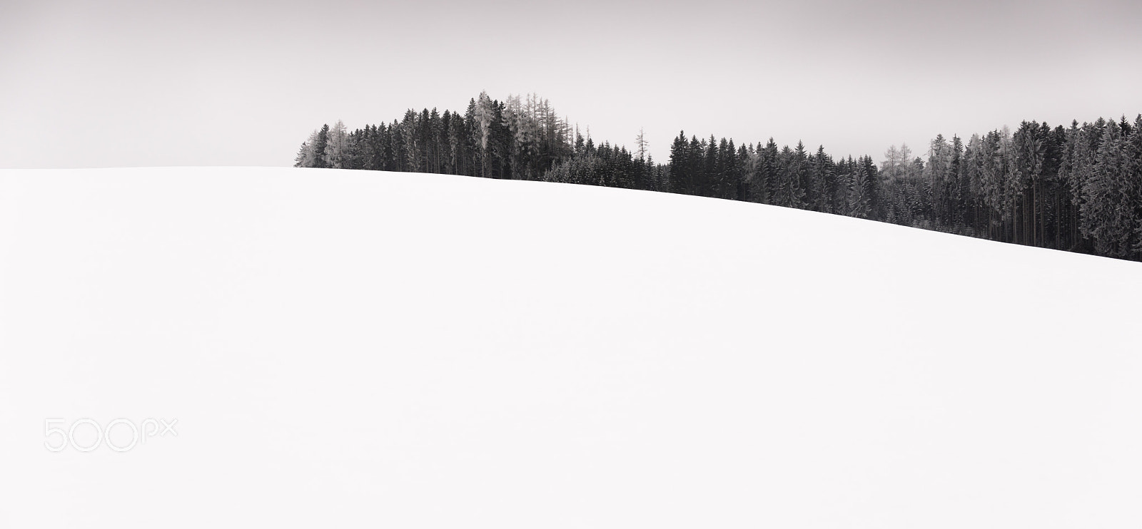 Canon EF 24-70mm F4L IS USM sample photo. Winter mood iii photography