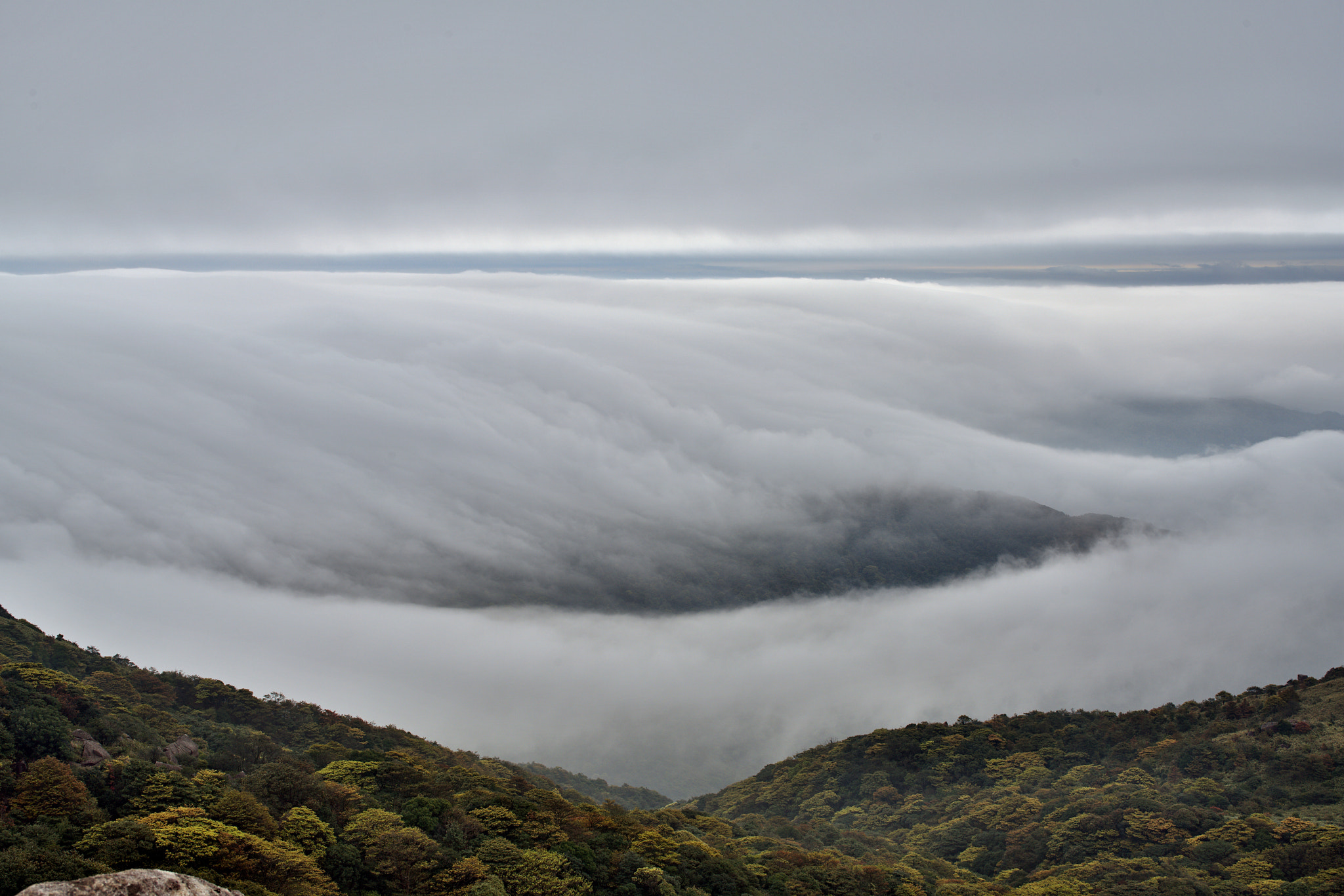 Sony a99 II + Sigma 28-105mm F4-5.6 UC sample photo. Dsc photography