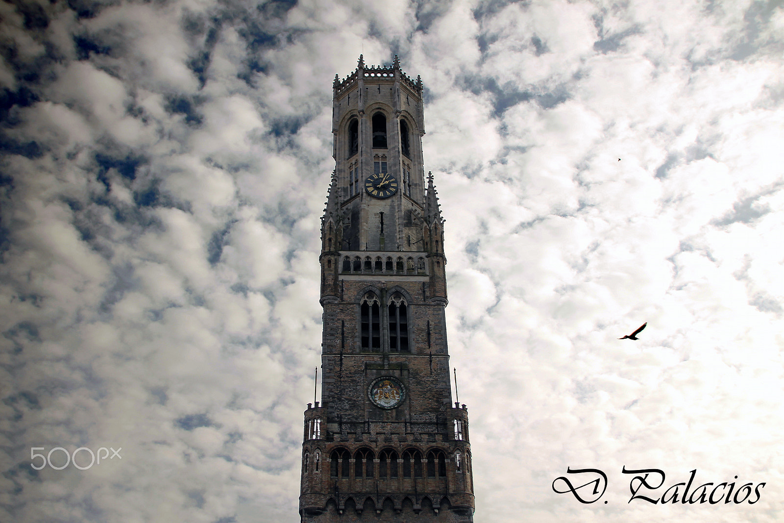 Canon EOS 1100D (EOS Rebel T3 / EOS Kiss X50) sample photo. Belgica photography