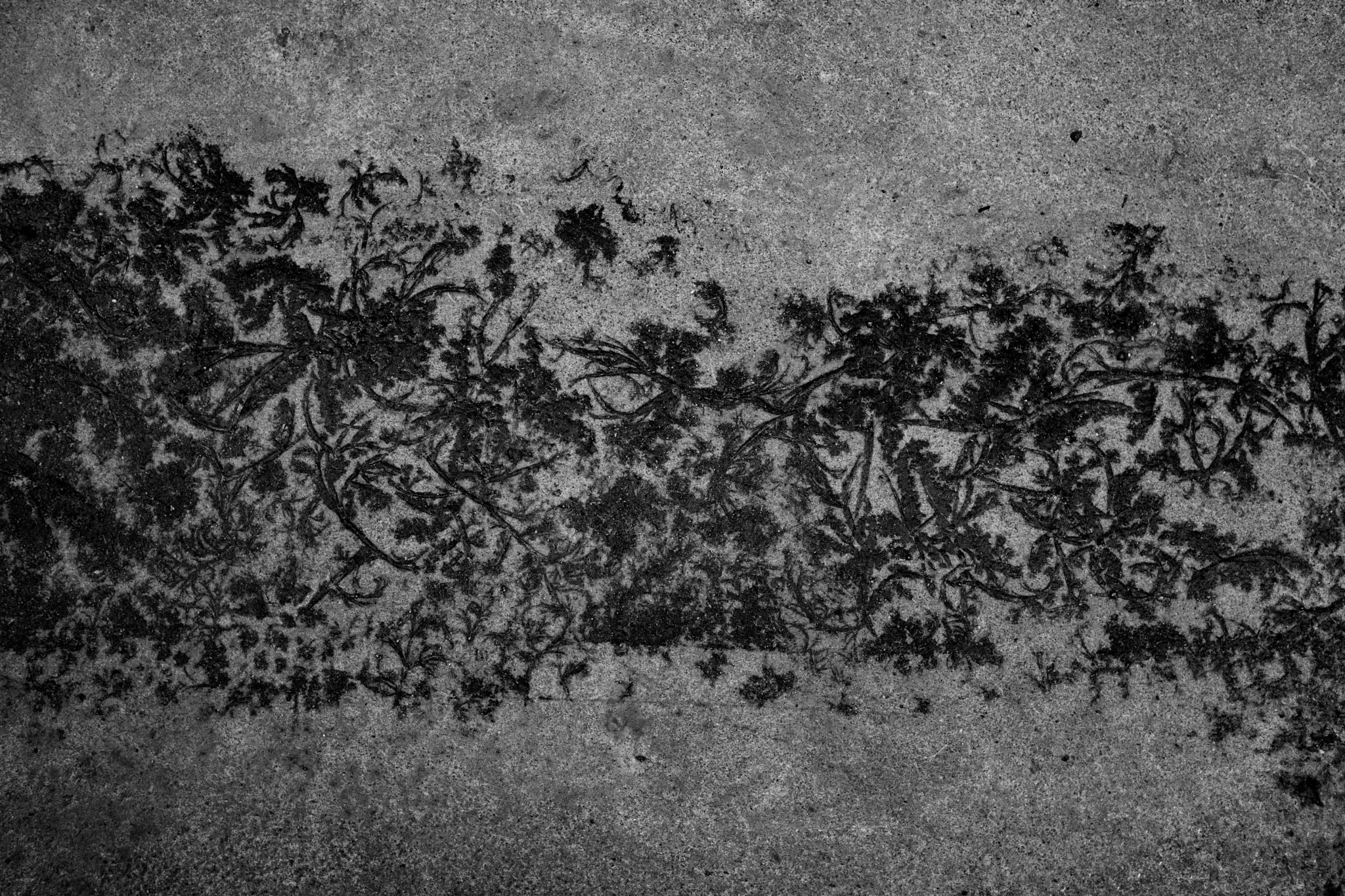 Fujifilm X-T2 sample photo. Ice on asphalt photography