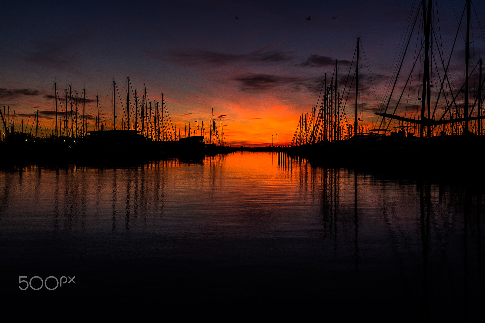 Canon EF-S 24mm F2.8 STM sample photo. Winter sunset lover photography