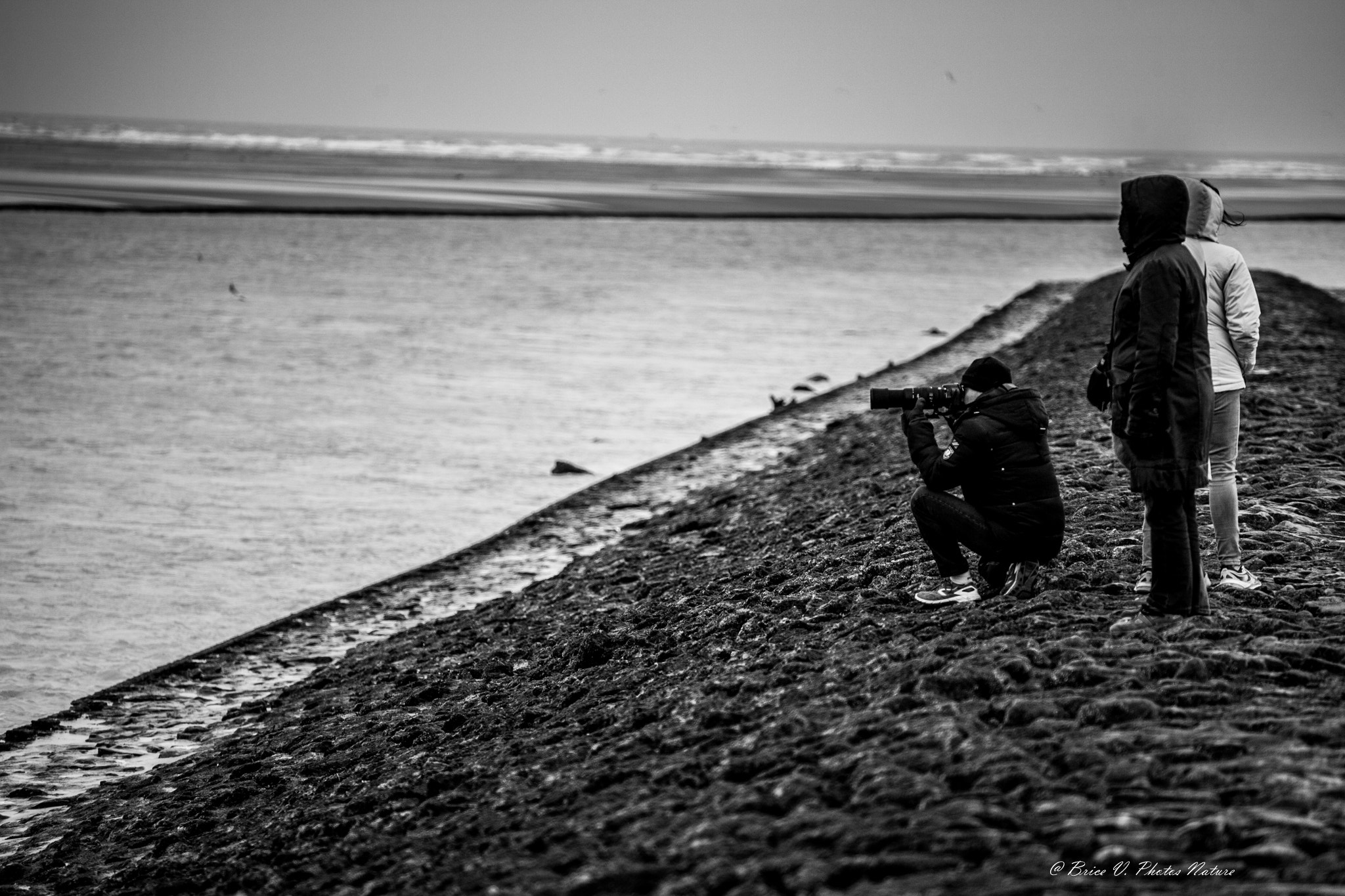Canon EOS 5D + Canon EF 70-200mm F4L USM sample photo. Photograph photography