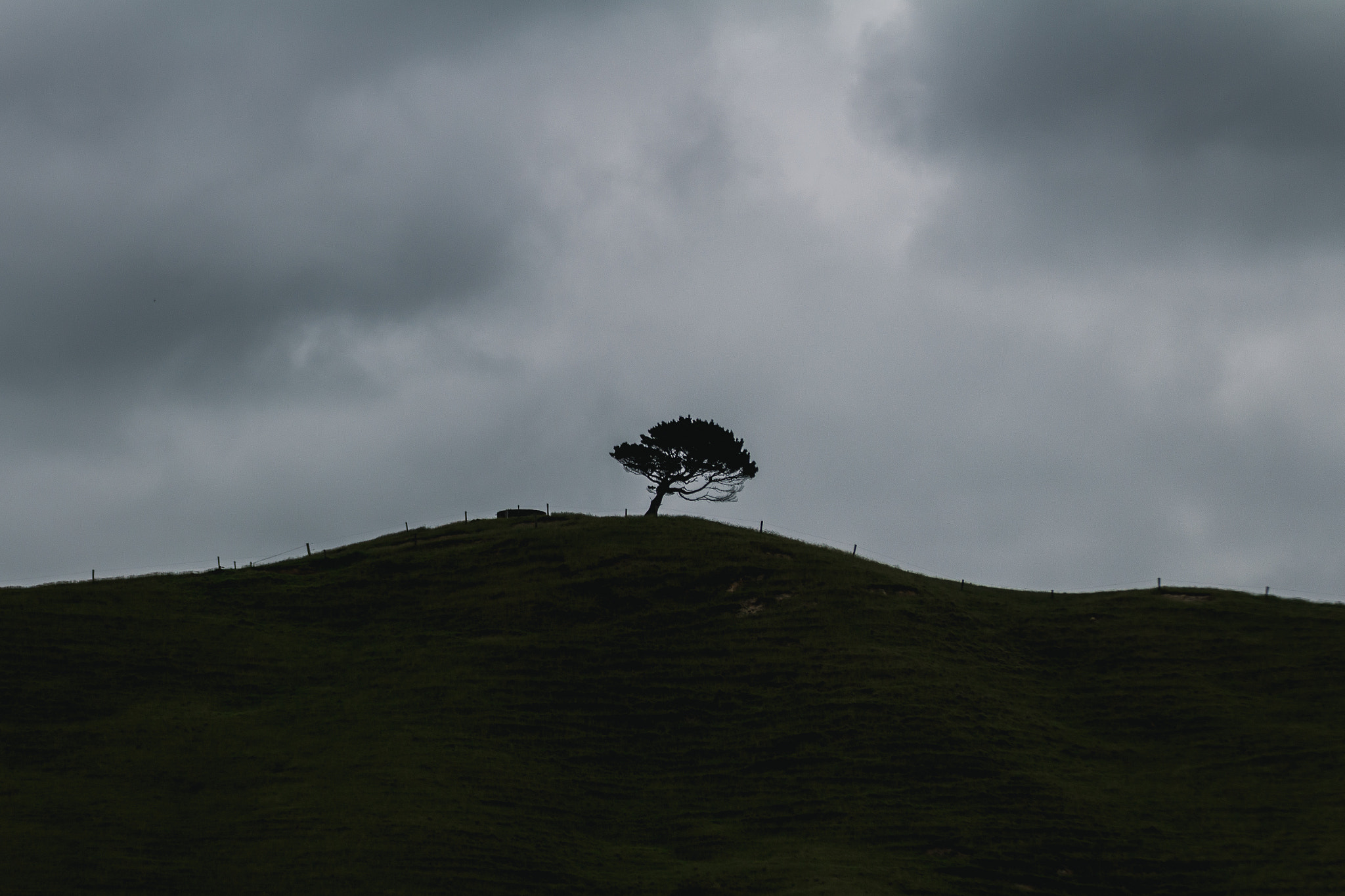 Canon EOS 100D (EOS Rebel SL1 / EOS Kiss X7) + Tamron SP 70-300mm F4-5.6 Di VC USD sample photo. Lonely tree on the dark hill photography
