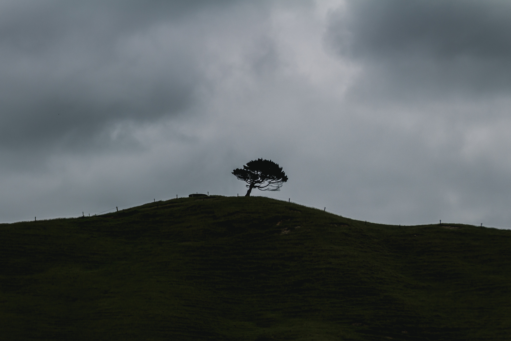 Canon EOS 100D (EOS Rebel SL1 / EOS Kiss X7) sample photo. Lonely tree on the dark hill photography