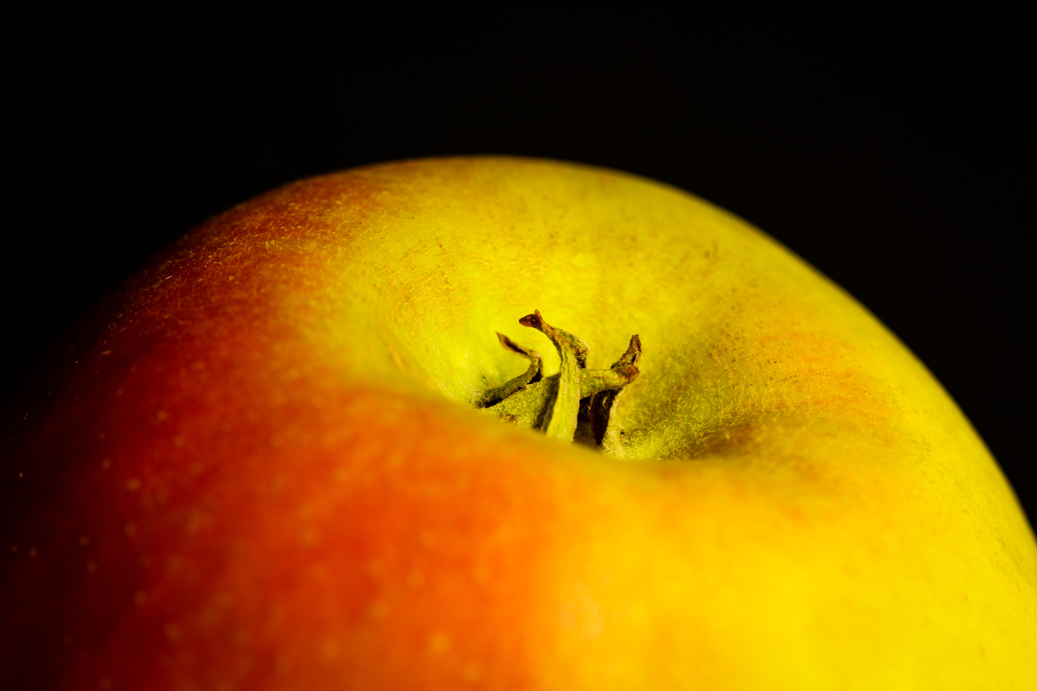 Canon EF 100mm F2.8L Macro IS USM sample photo. Macro-apple photography