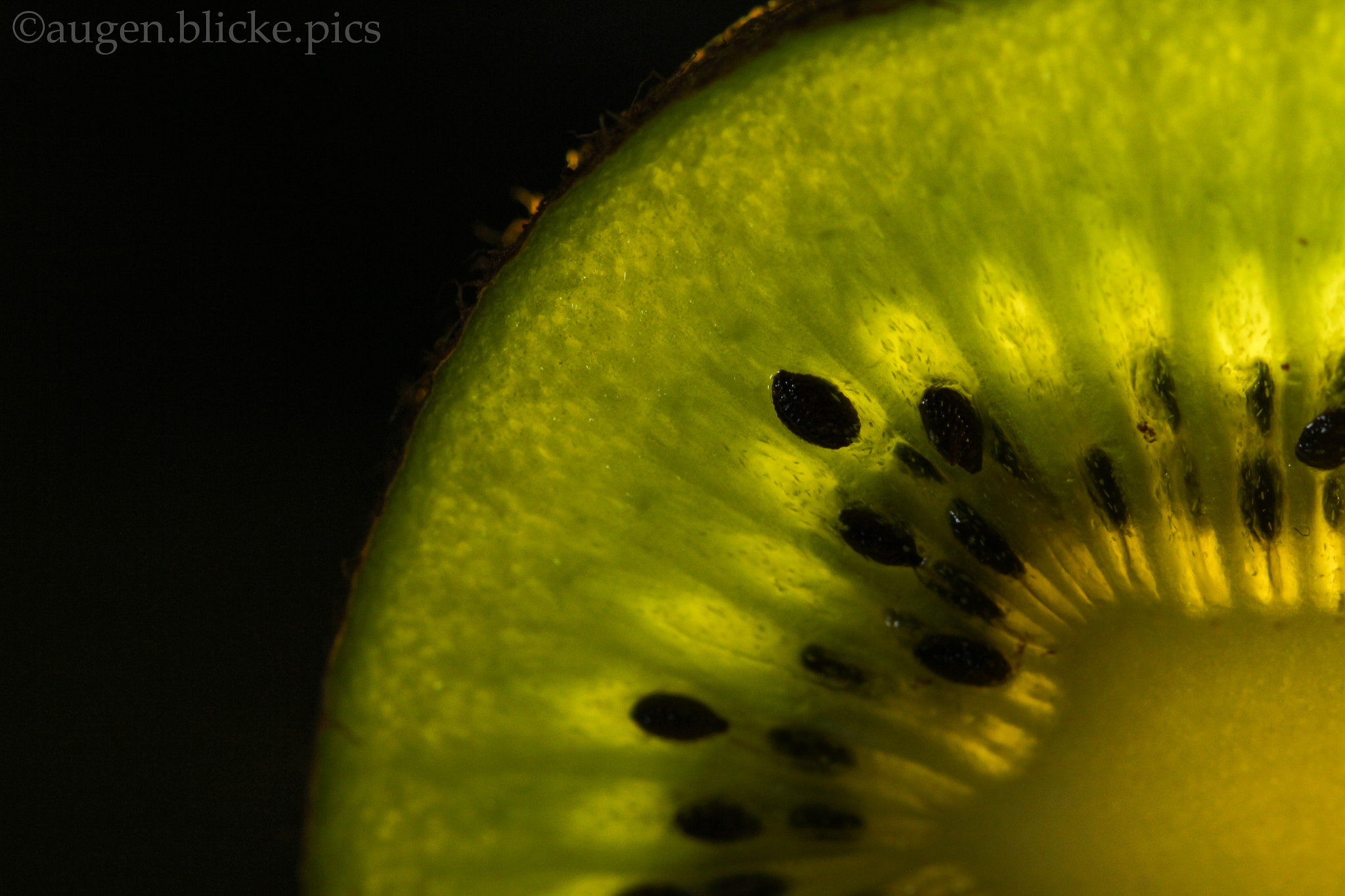 Canon EF 100mm F2.8L Macro IS USM sample photo. Macro-kiwi photography