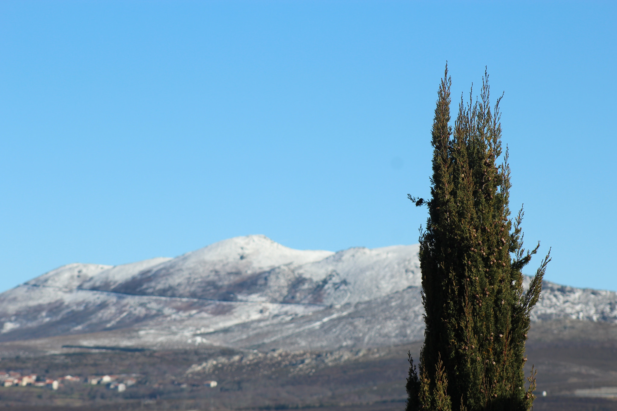 Canon EOS 1200D (EOS Rebel T5 / EOS Kiss X70 / EOS Hi) + EF75-300mm f/4-5.6 sample photo. Joaopedro48_ photography