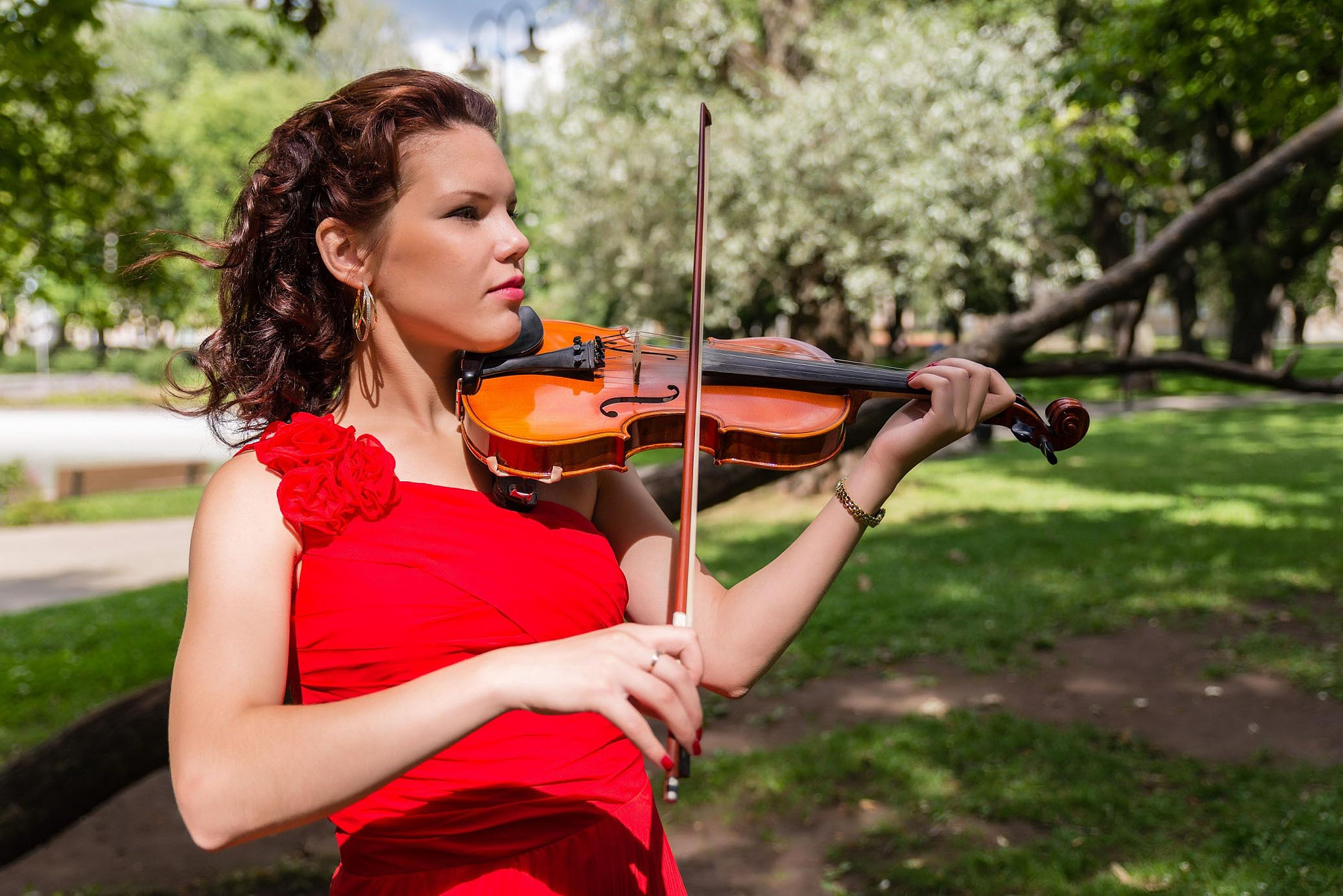 Tamron SP 24-70mm F2.8 Di VC USD sample photo. Violin photography