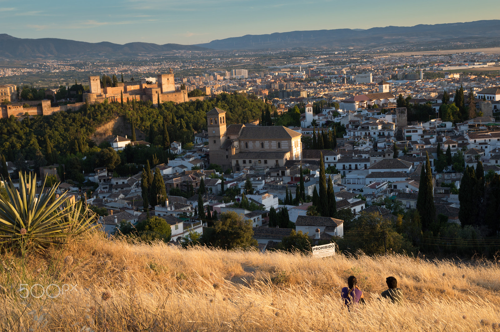 Nikon D3200 + Sigma 17-50mm F2.8 EX DC OS HSM sample photo. Looking for the alhambra photography