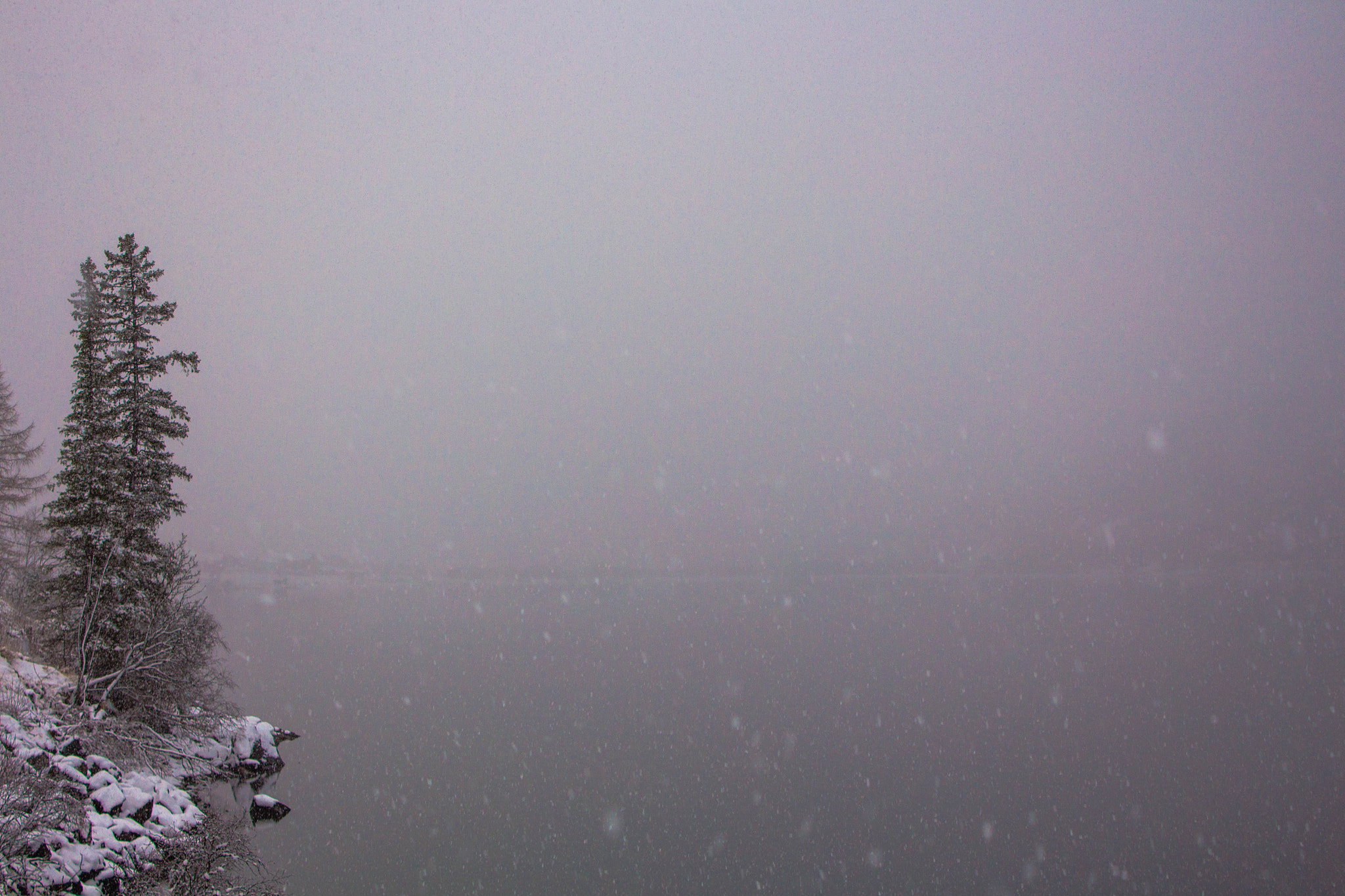Canon EF-S 18-55mm F3.5-5.6 IS sample photo. Whiteout photography
