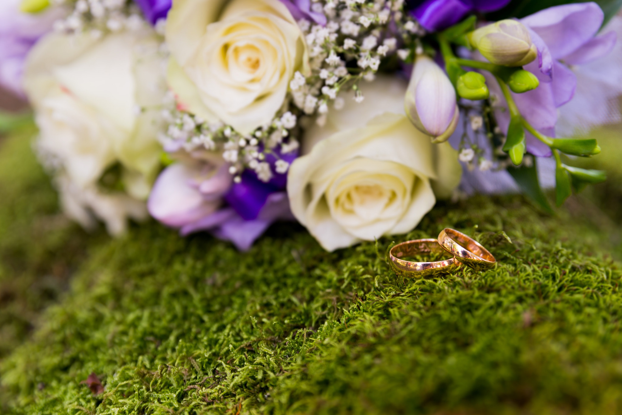Tamron SP 24-70mm F2.8 Di VC USD sample photo. Rings photography