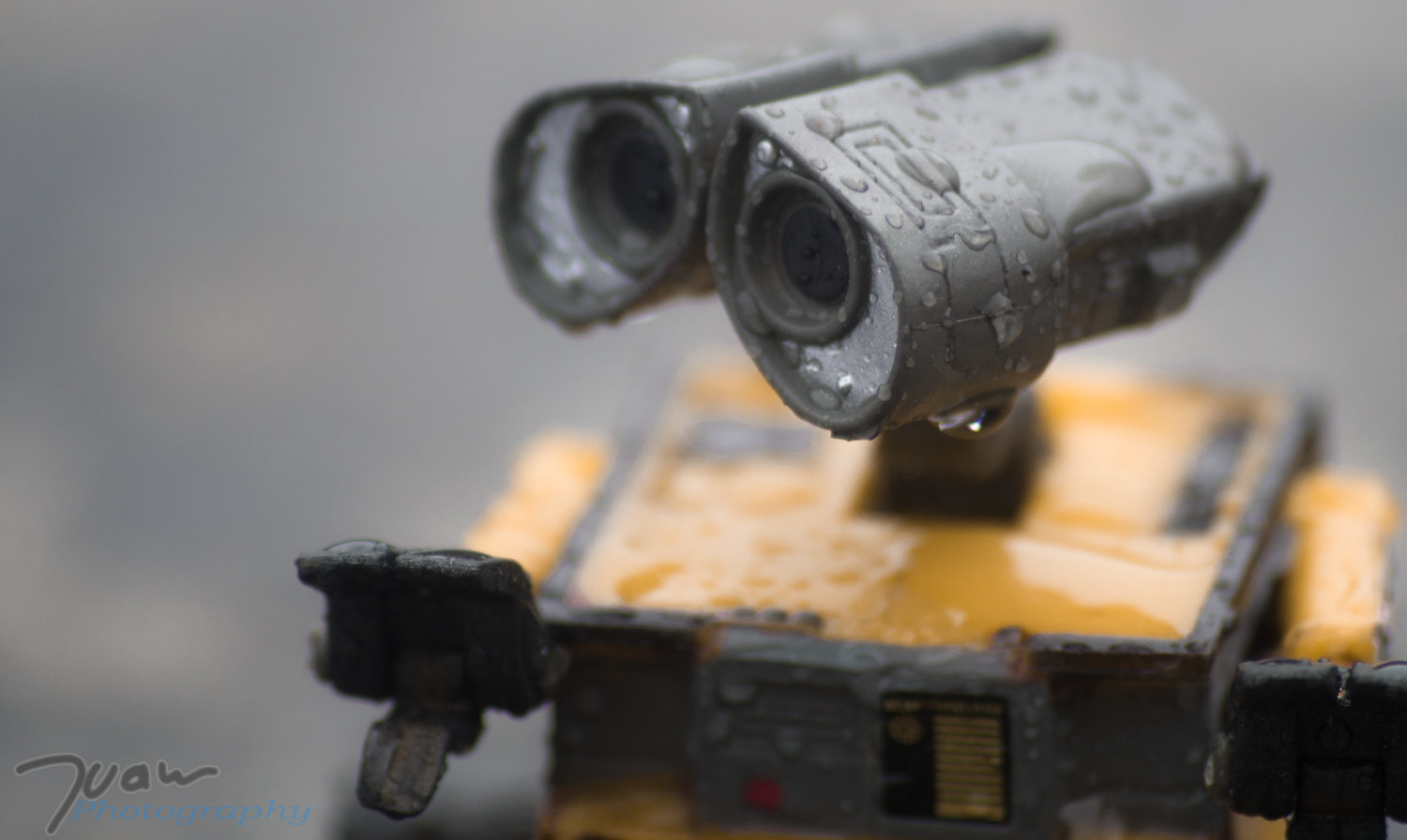 Pentax K-50 + Sigma sample photo. Wall-e in the rain photography