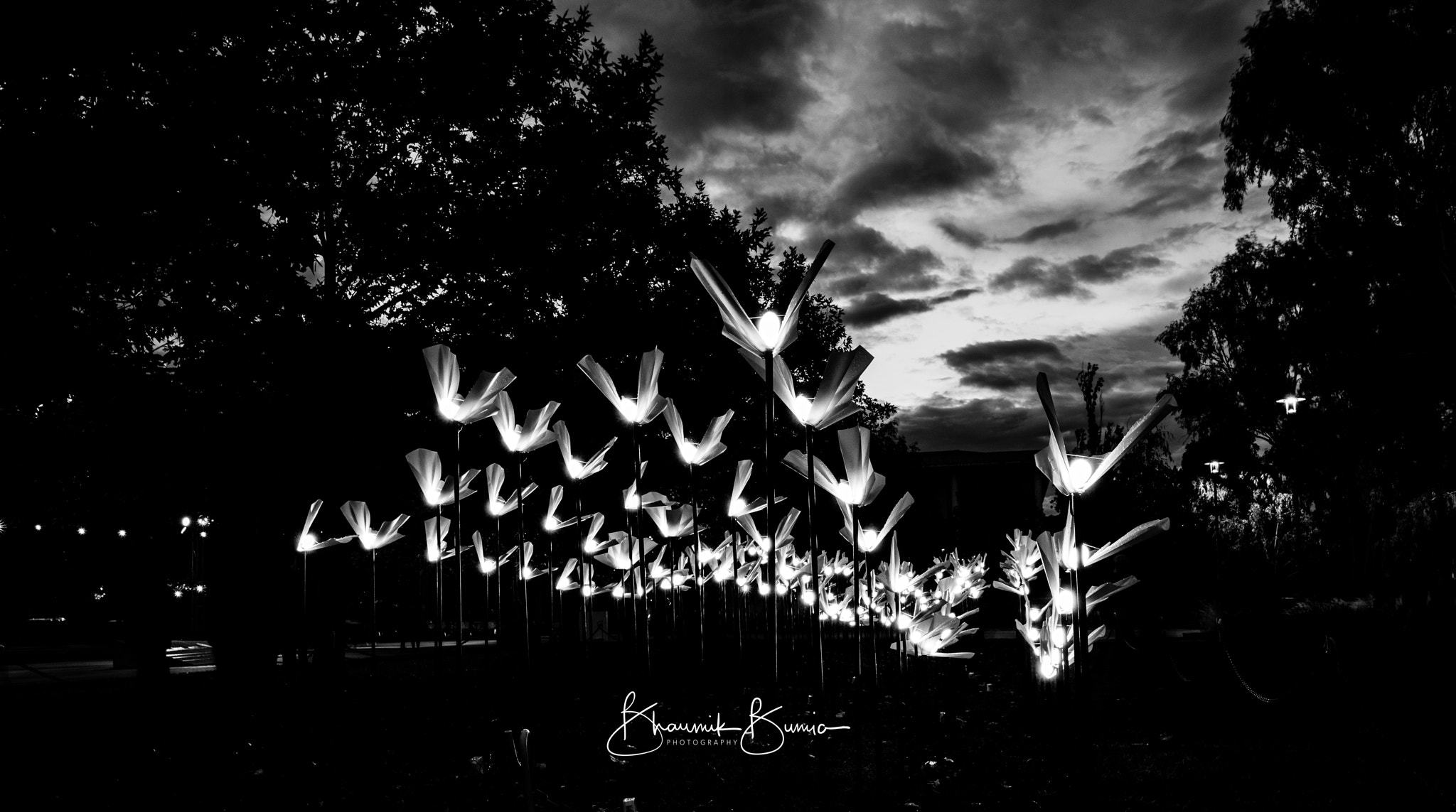 Tokina AT-X 16-28mm F2.8 Pro FX sample photo. Wings of freedom photography
