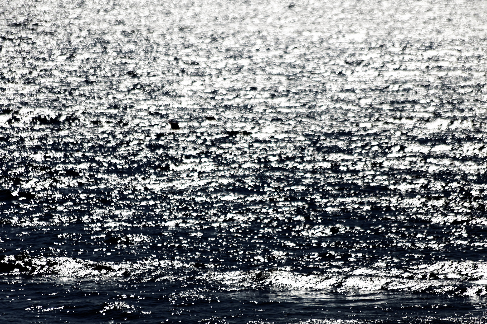 Canon EF 70-300mm F4-5.6 IS USM sample photo. Silver sea photography