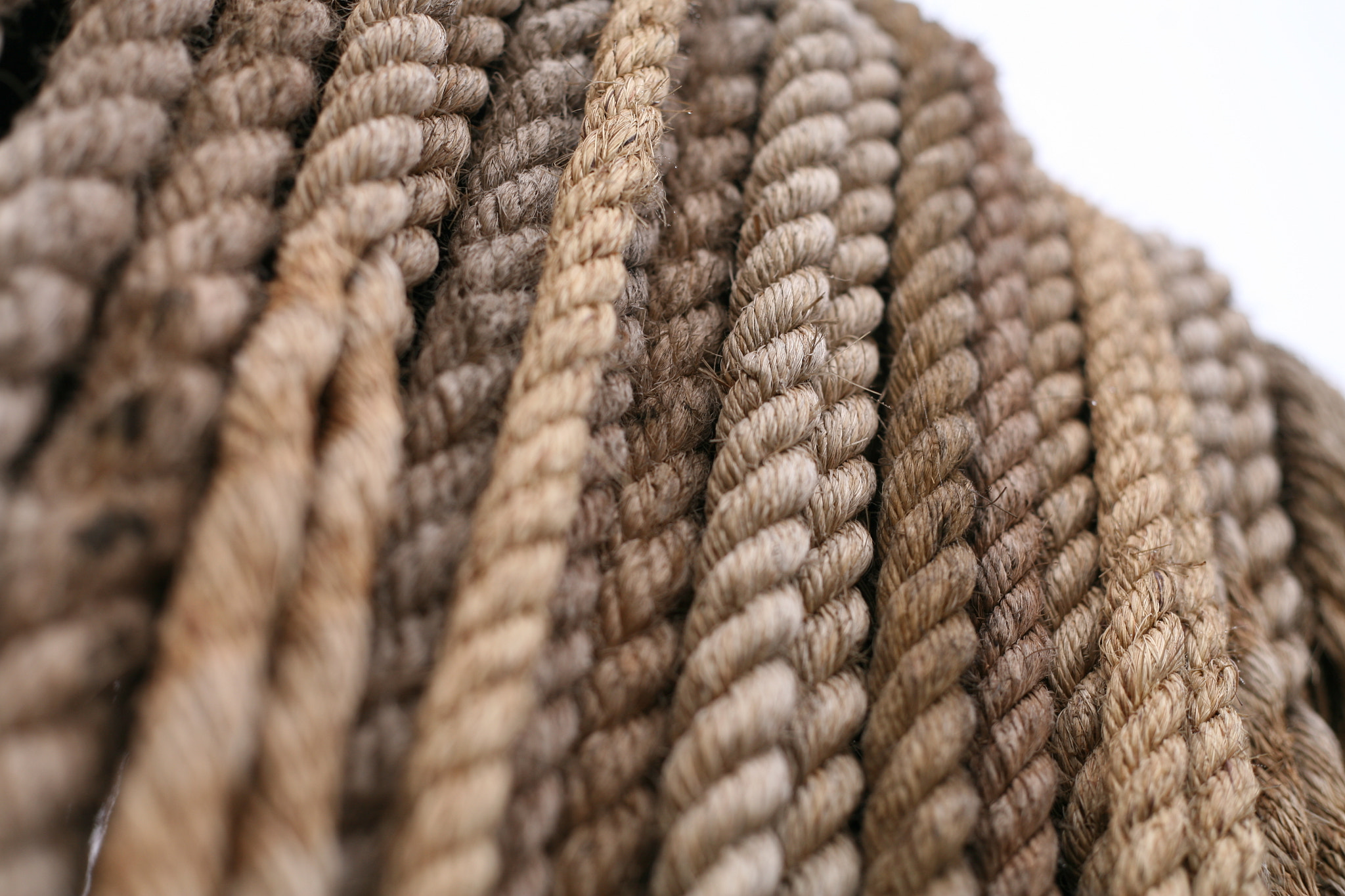 Canon EOS 5D + Canon EF 50mm F1.8 II sample photo. Manilla rope photography