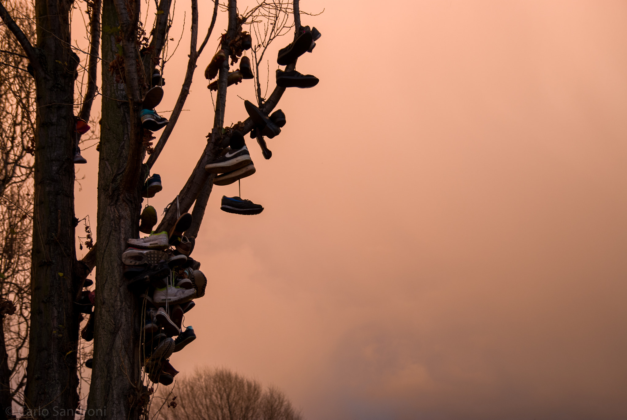 Canon EOS 70D + Tamron SP AF 17-50mm F2.8 XR Di II LD Aspherical (IF) sample photo. The shoes tree photography