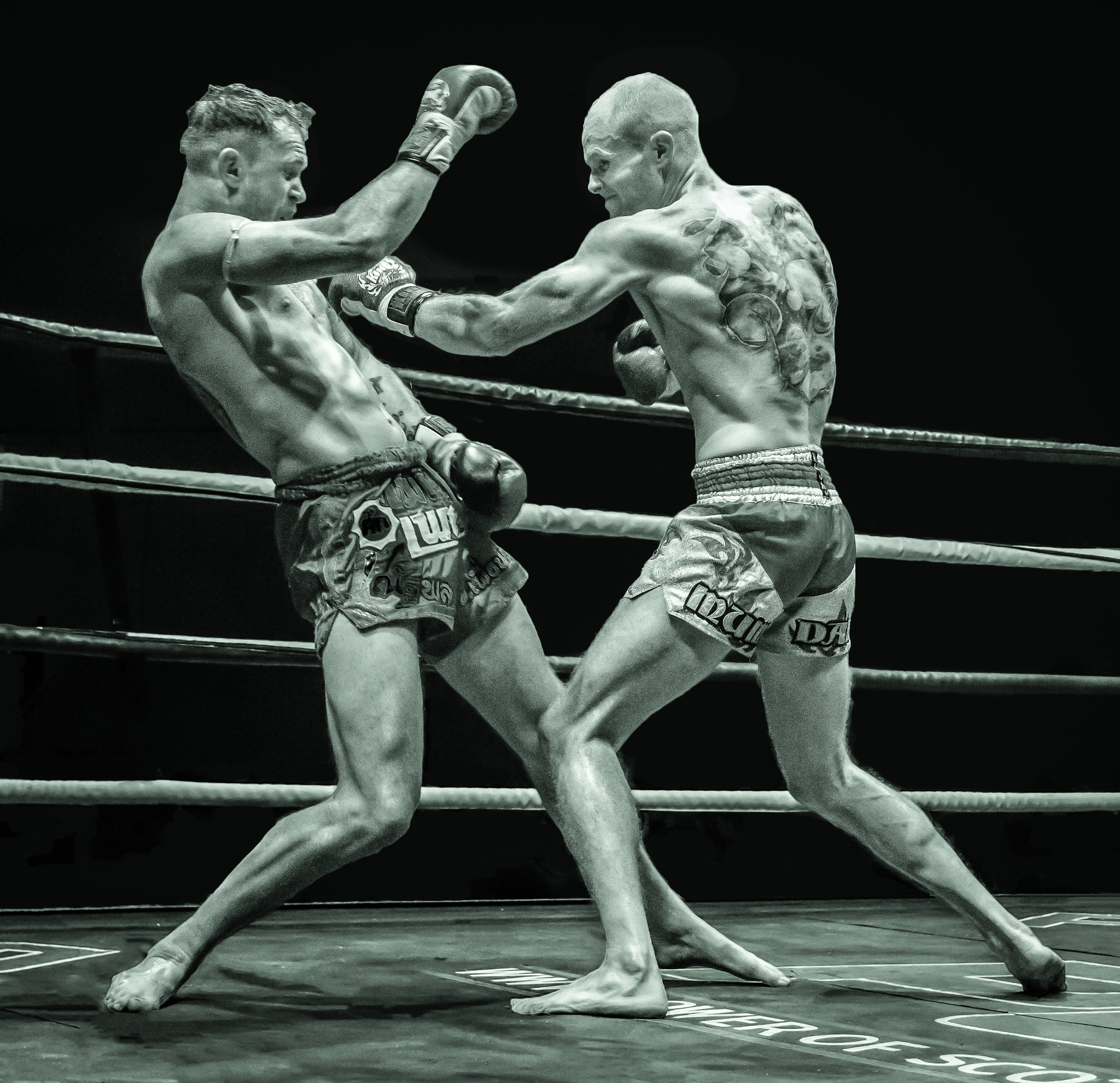 Sigma 17-70mm F2.8-4 DC Macro OS HSM | C sample photo. Left hook photography