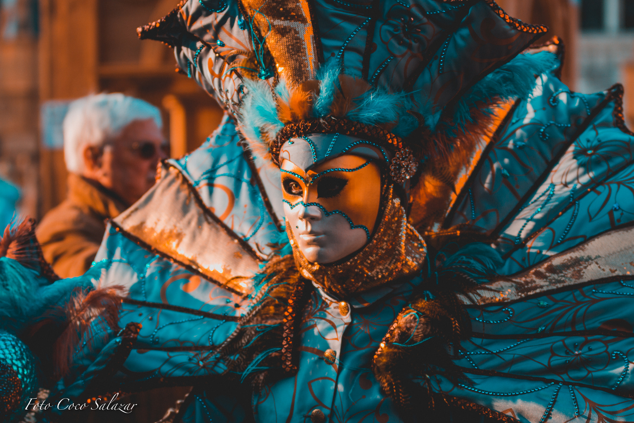 Sigma 70-200mm F2.8 EX DG OS HSM sample photo. Venice photography