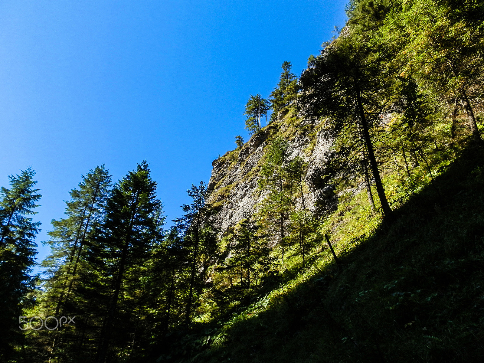 Olympus SZ-10 sample photo. Rocks valley with tree photography