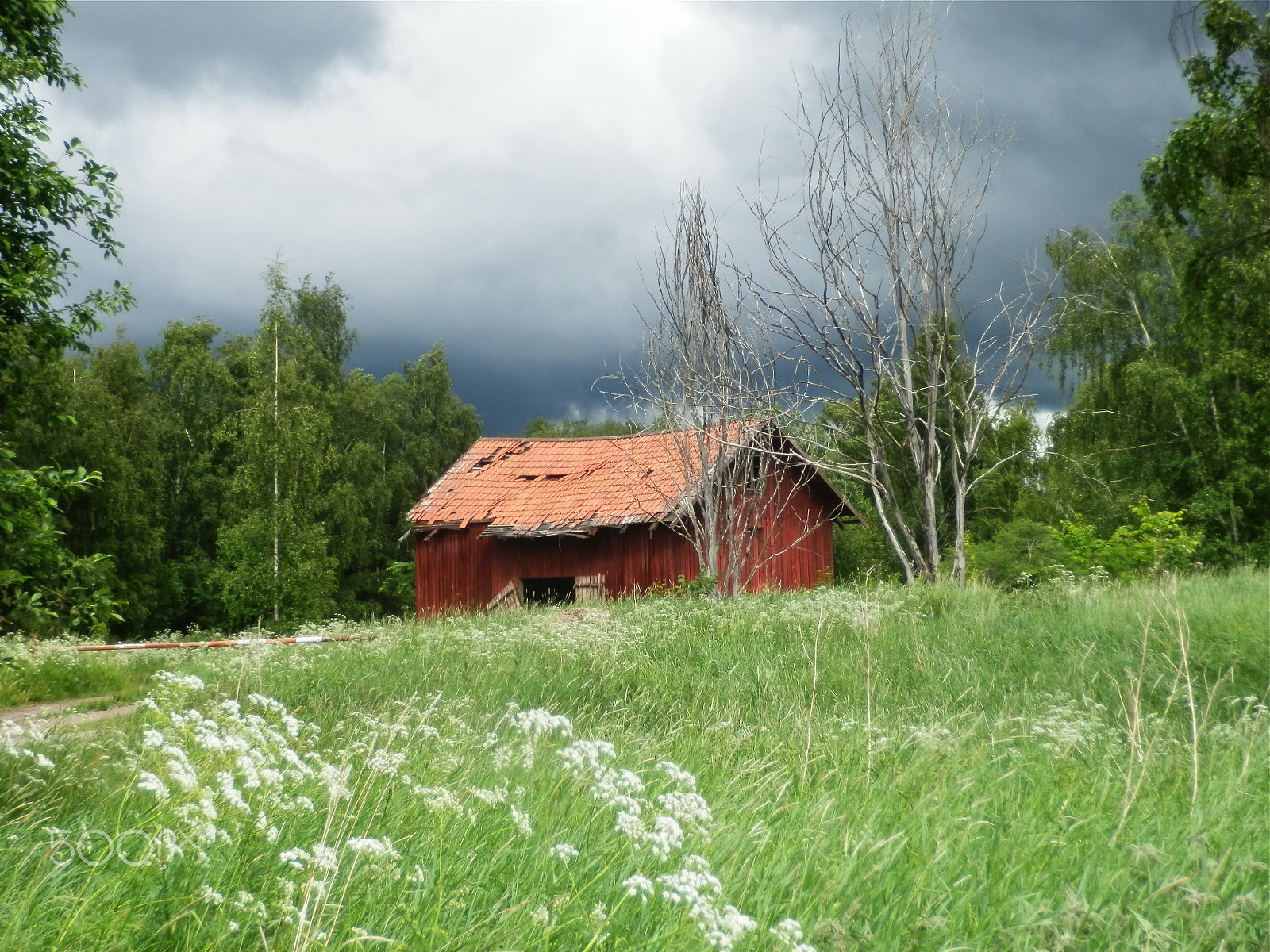 Olympus SH-21 sample photo. Shed in sweden photography