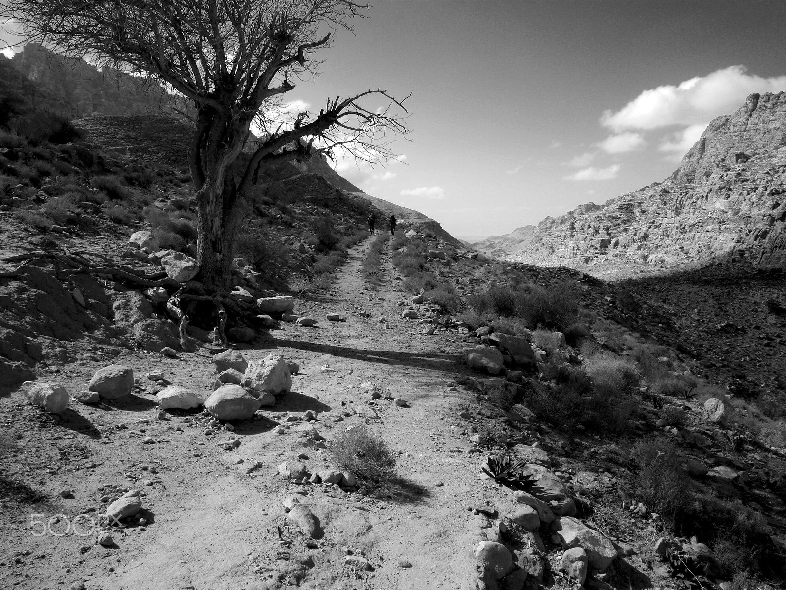 Panasonic Lumix G 14mm F2.5 ASPH sample photo. Wadi dana / feynan, jordan photography