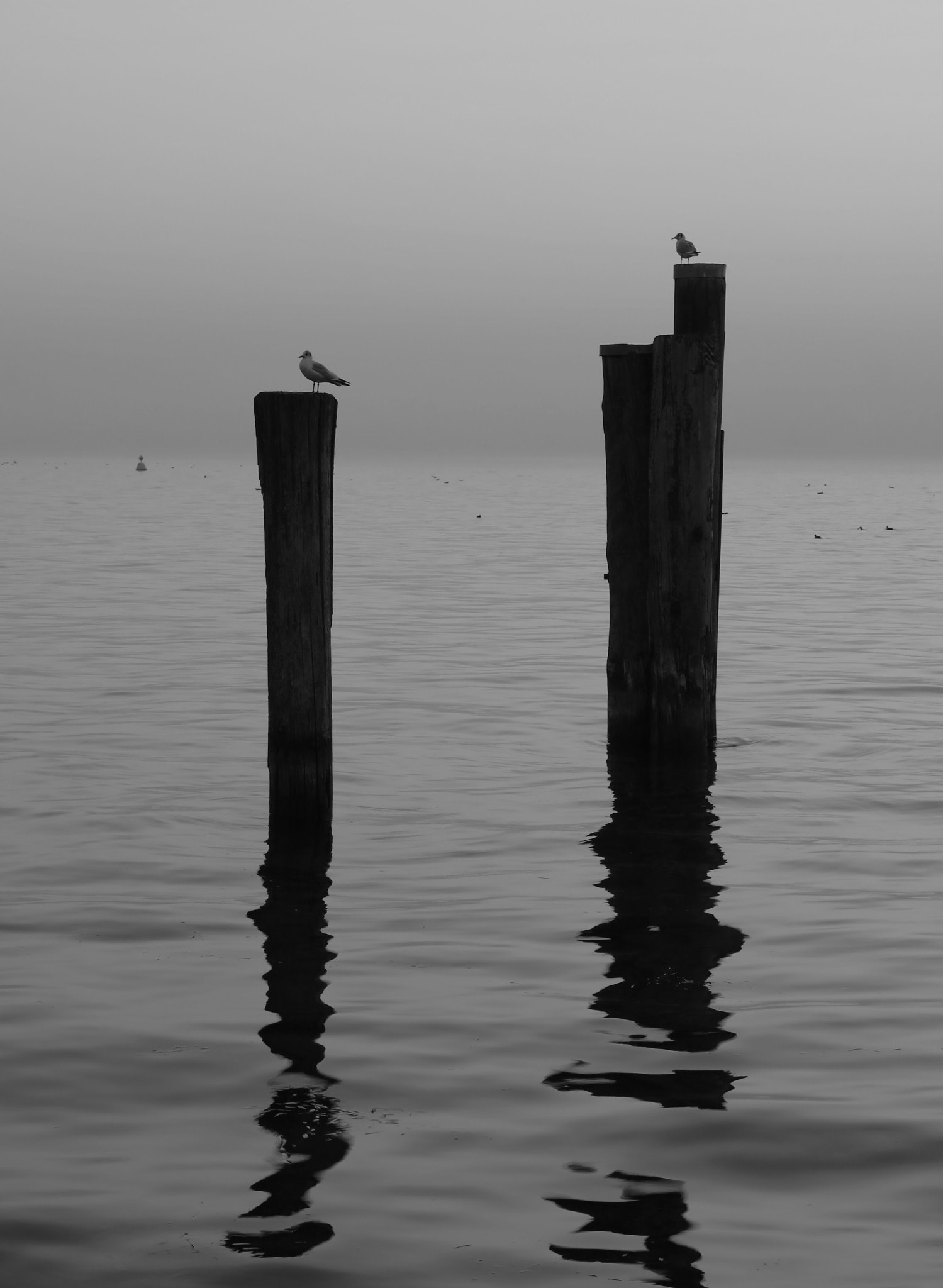 Canon EOS 5DS sample photo. Untitled photography