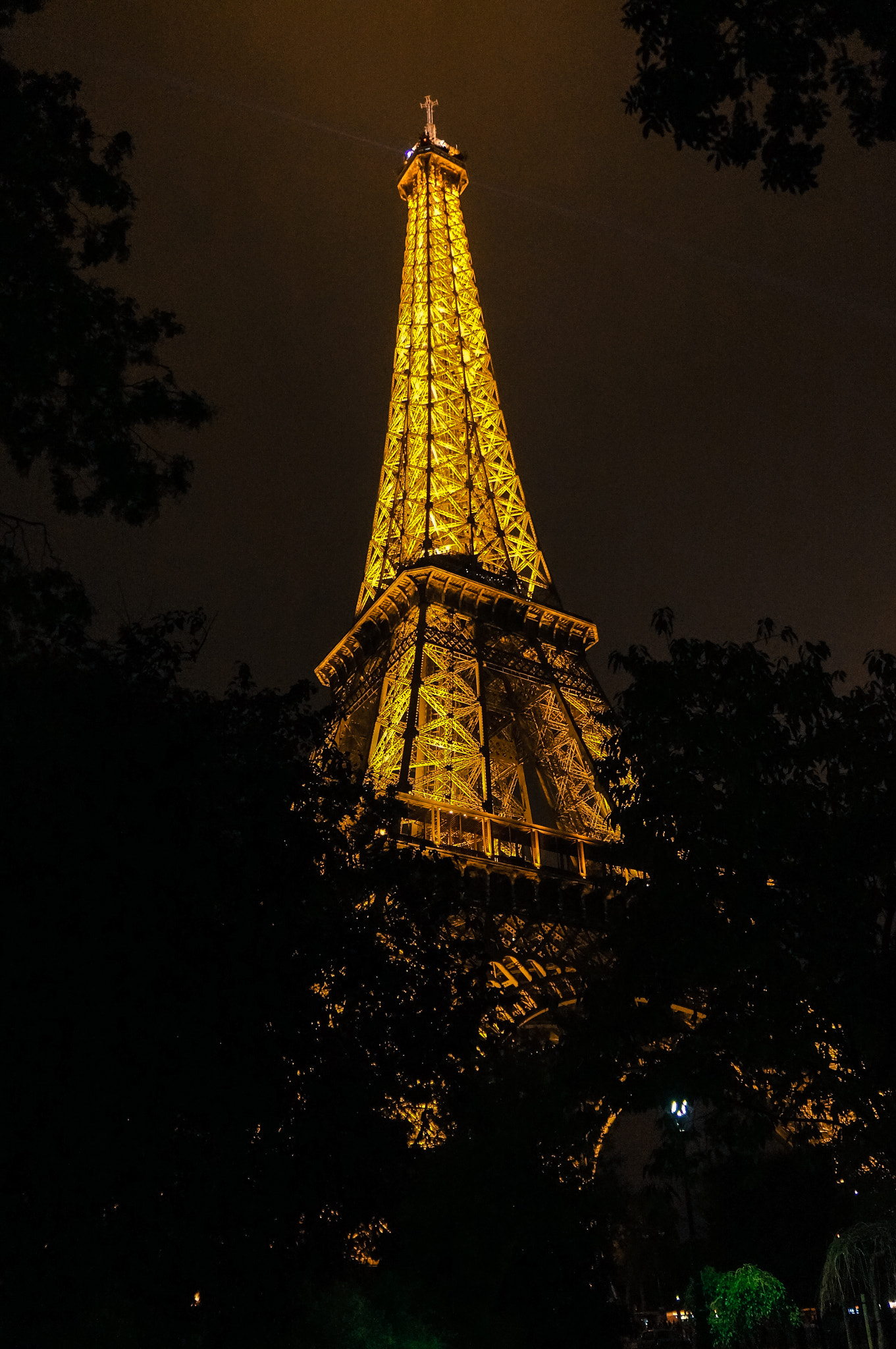 Sony Alpha NEX-5R + Sony E 18-55mm F3.5-5.6 OSS sample photo. La dame de fer photography