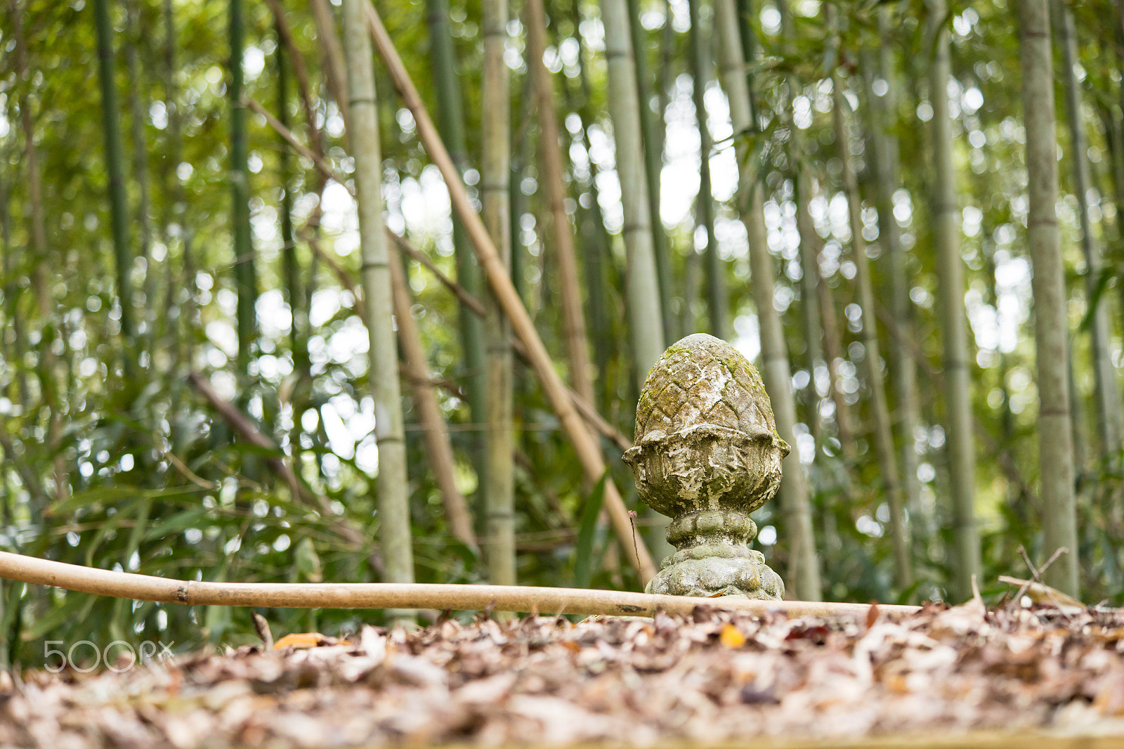 Canon EF 70-300mm F4-5.6 IS USM sample photo. Pineapple statue photography