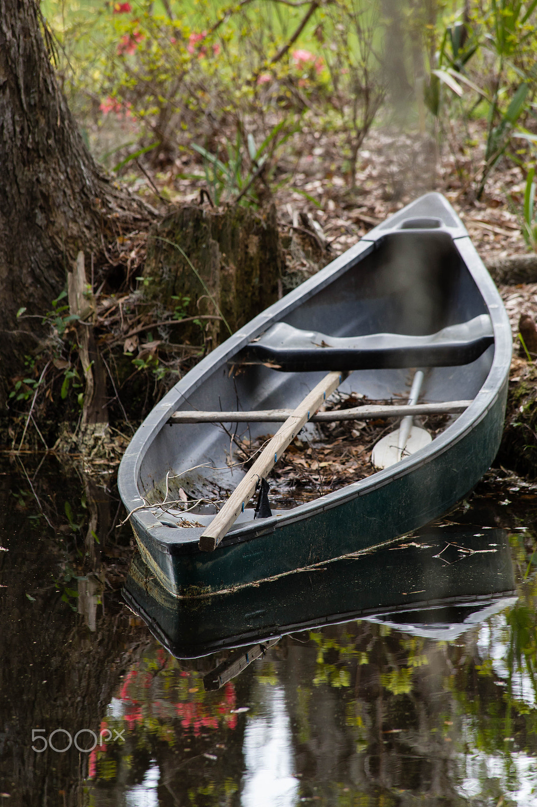 Canon EF 70-300mm F4-5.6 IS USM sample photo. Img photography