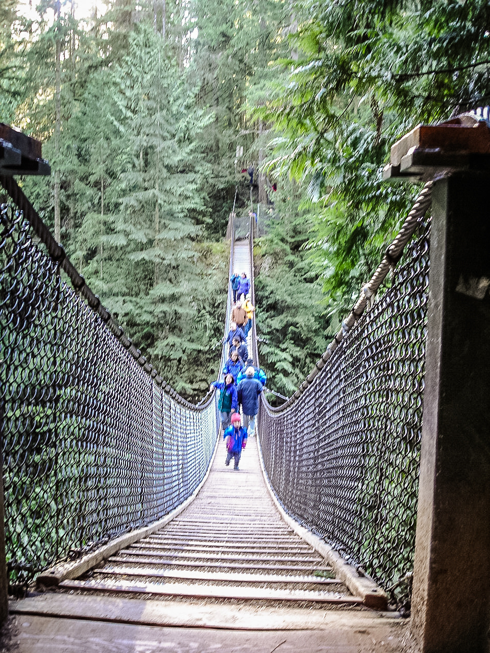 Sony DSC-W1 sample photo. Capsilano suspension bridge photography