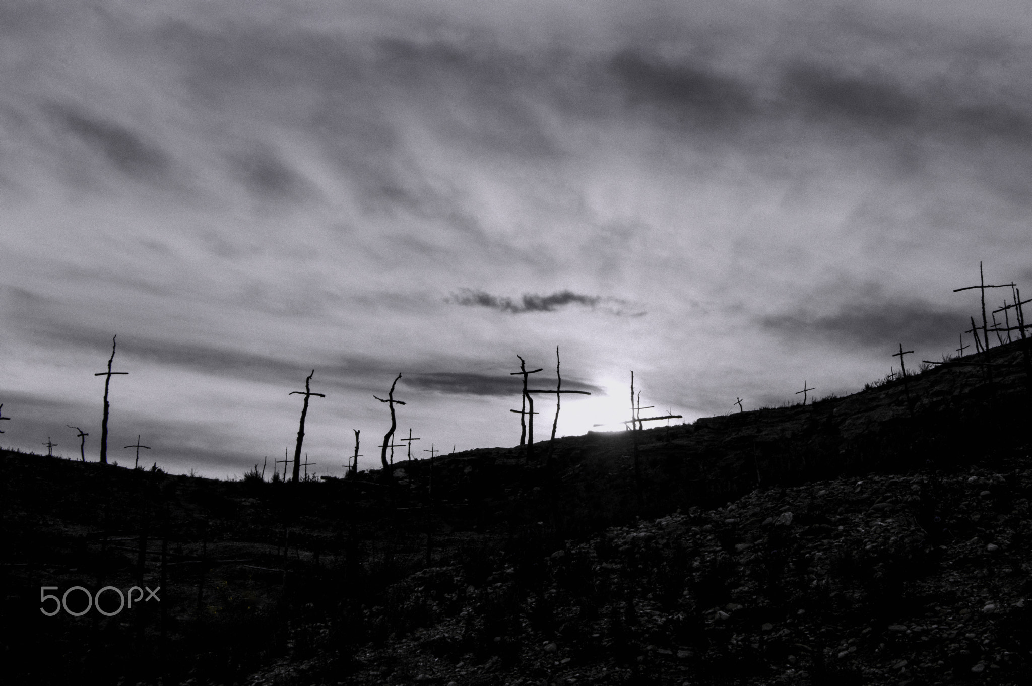 Bosque Cementerio by Marco García on 500px.com