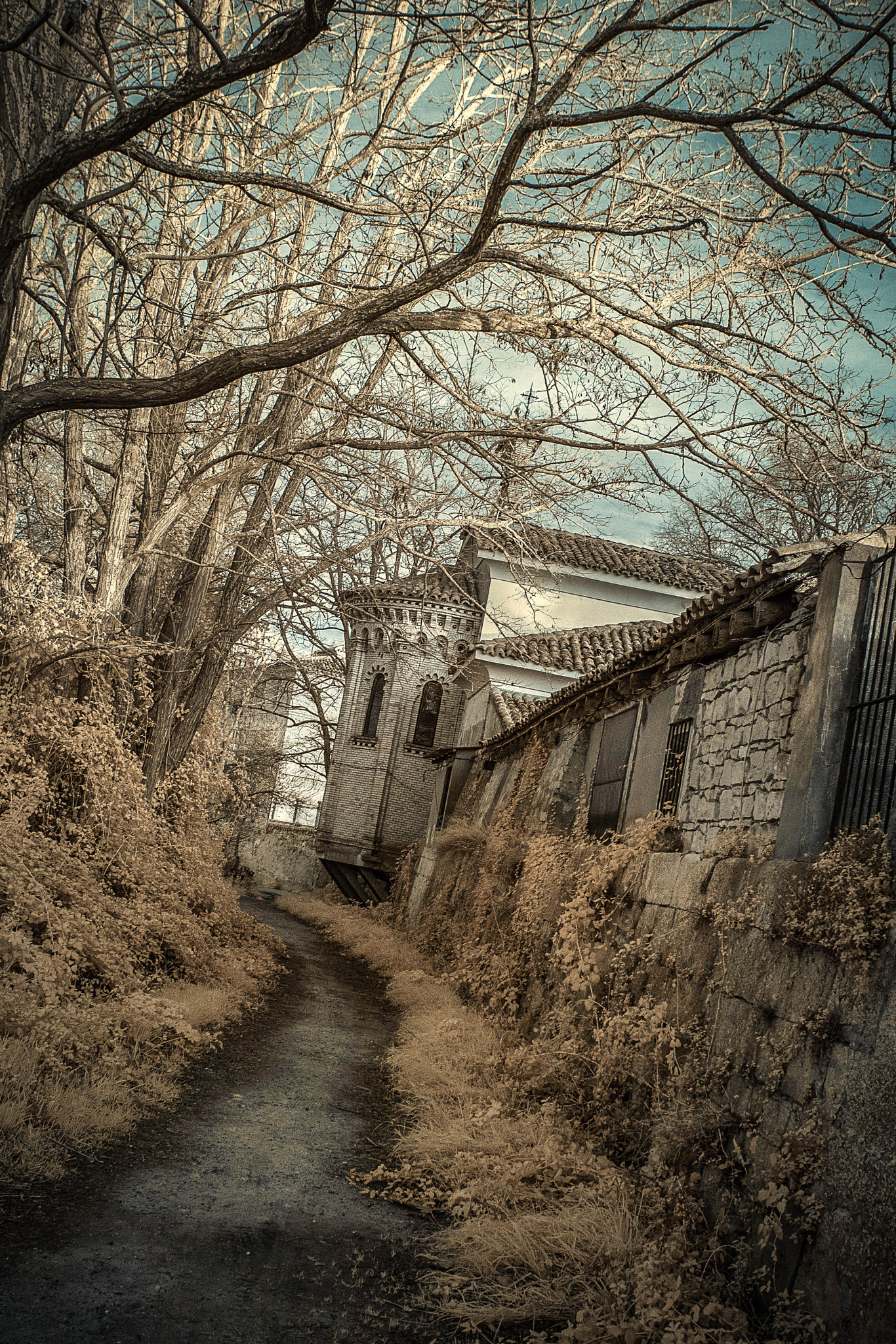 Canon EOS 5D + Canon EF 17-40mm F4L USM sample photo. Bocal infra photography