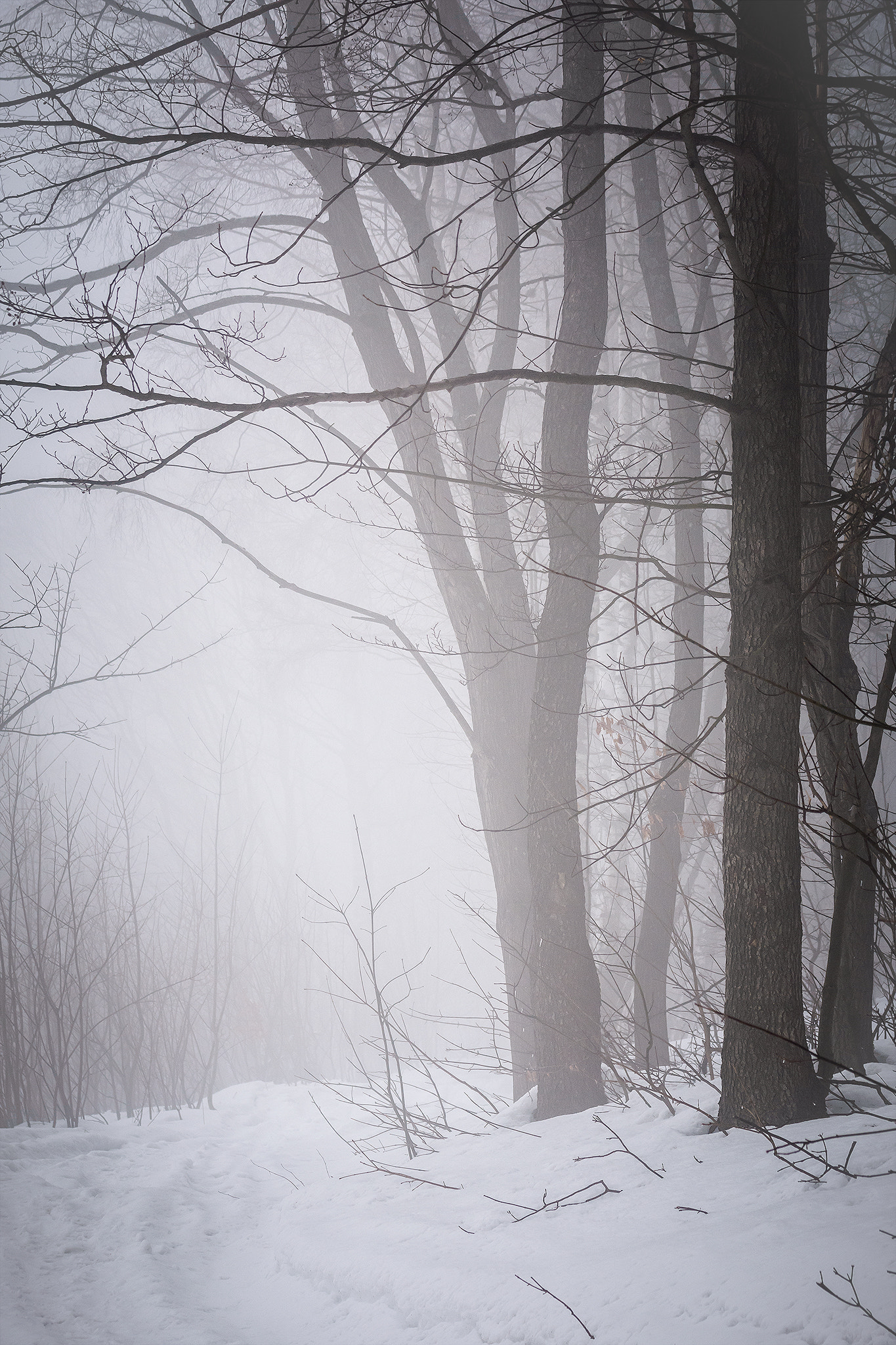 Nikon D7200 sample photo. Winter. photography
