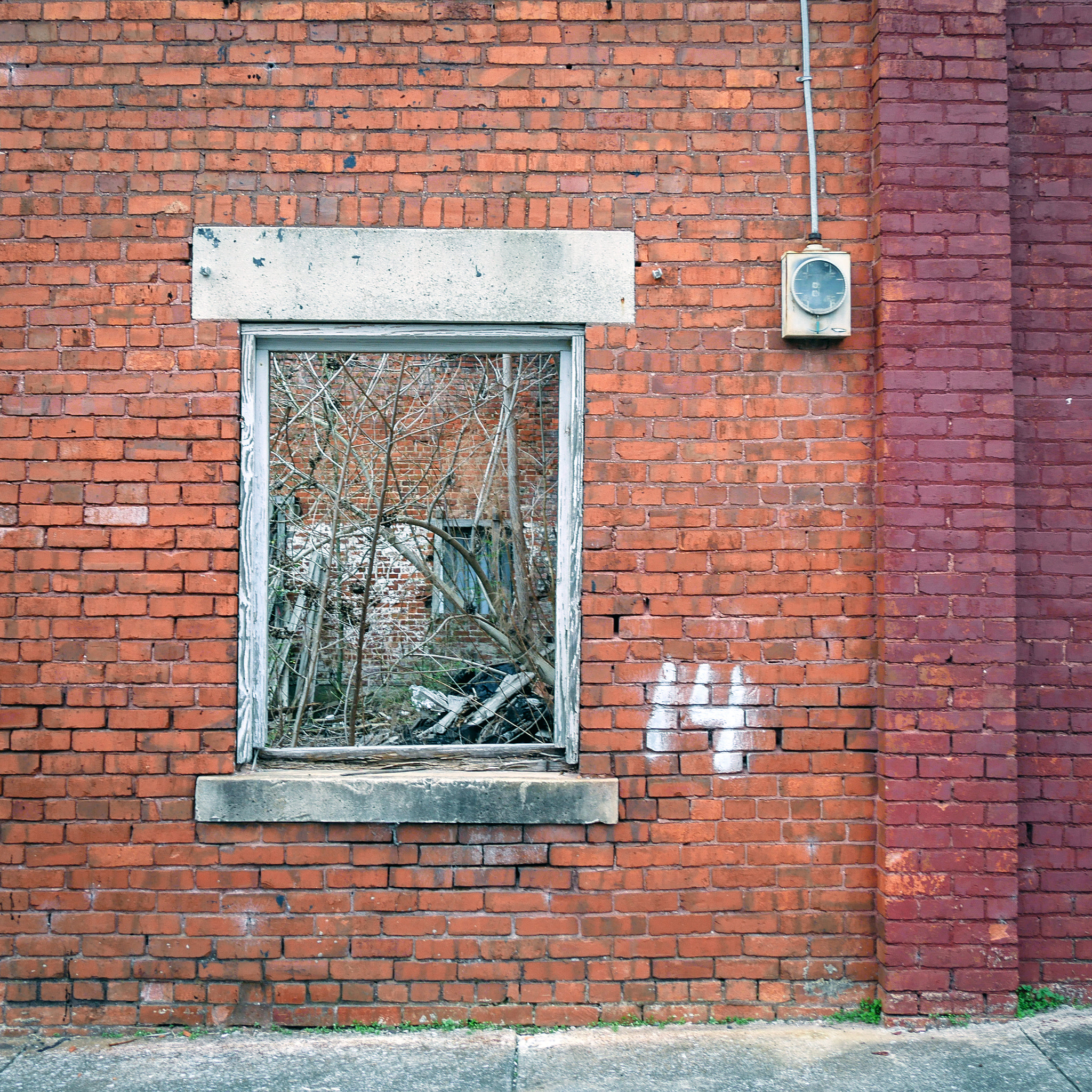 Panasonic Lumix DMC-GX8 sample photo. 14 photography