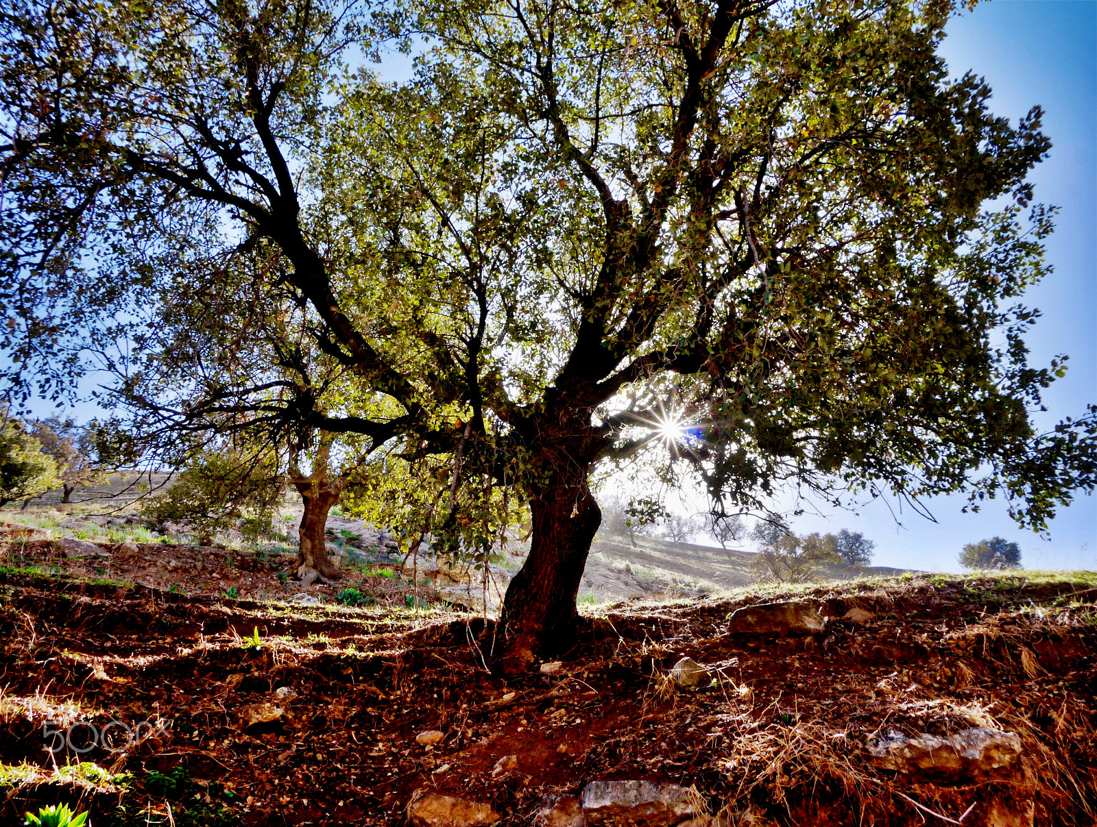 Panasonic Lumix DMC-GF3 sample photo. Beit idis to pella  - hike photography