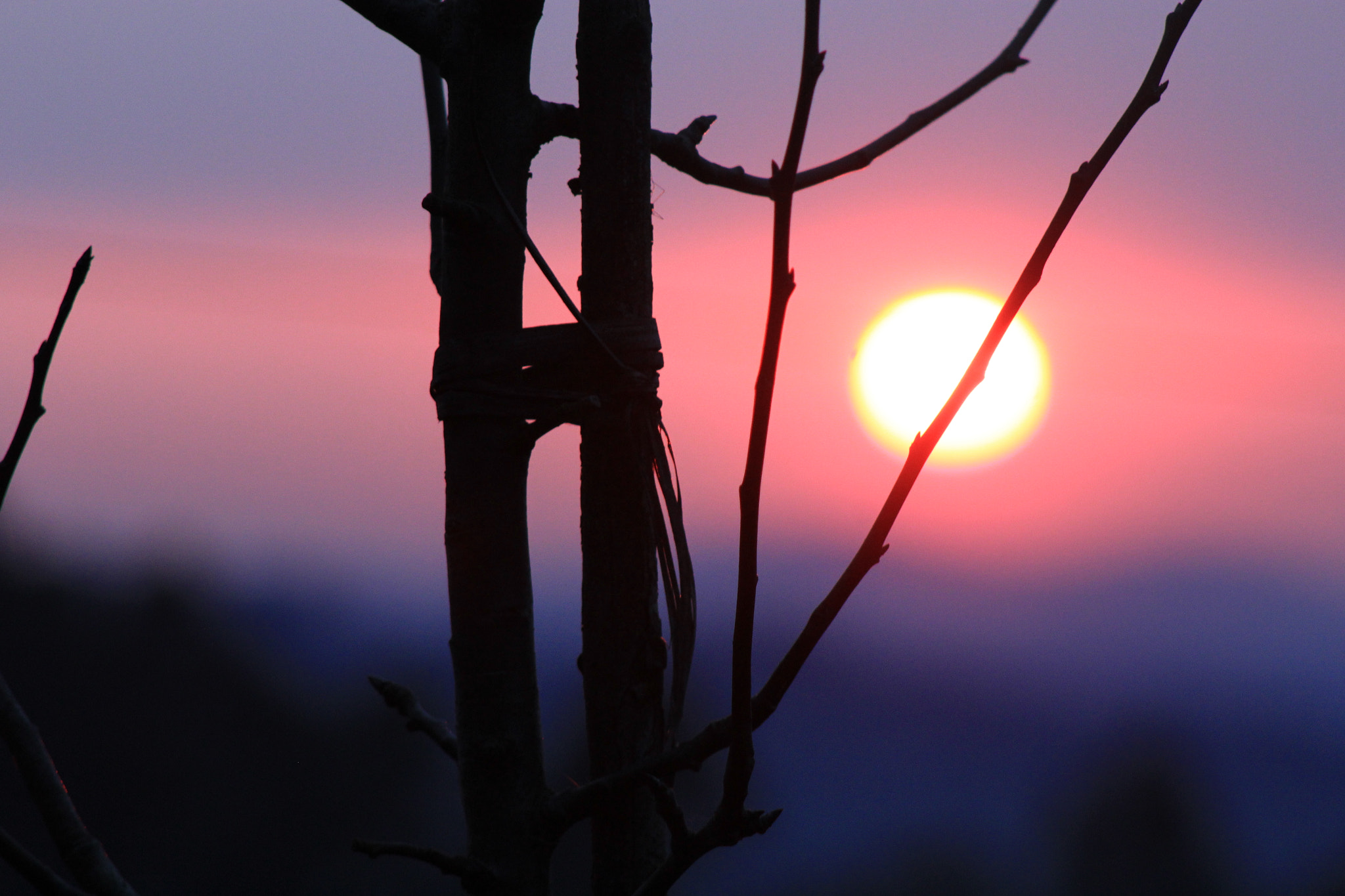 Canon EOS 1200D (EOS Rebel T5 / EOS Kiss X70 / EOS Hi) + EF75-300mm f/4-5.6 sample photo. Joaopedro48_ photography