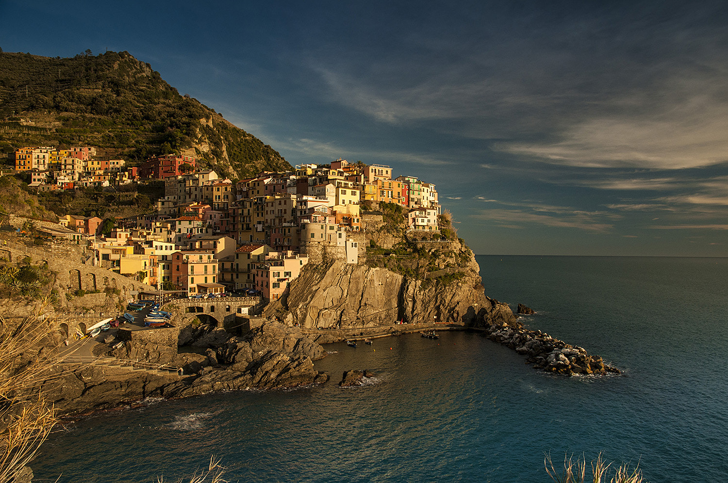 Nikon D300S sample photo. Manarola at sunset photography