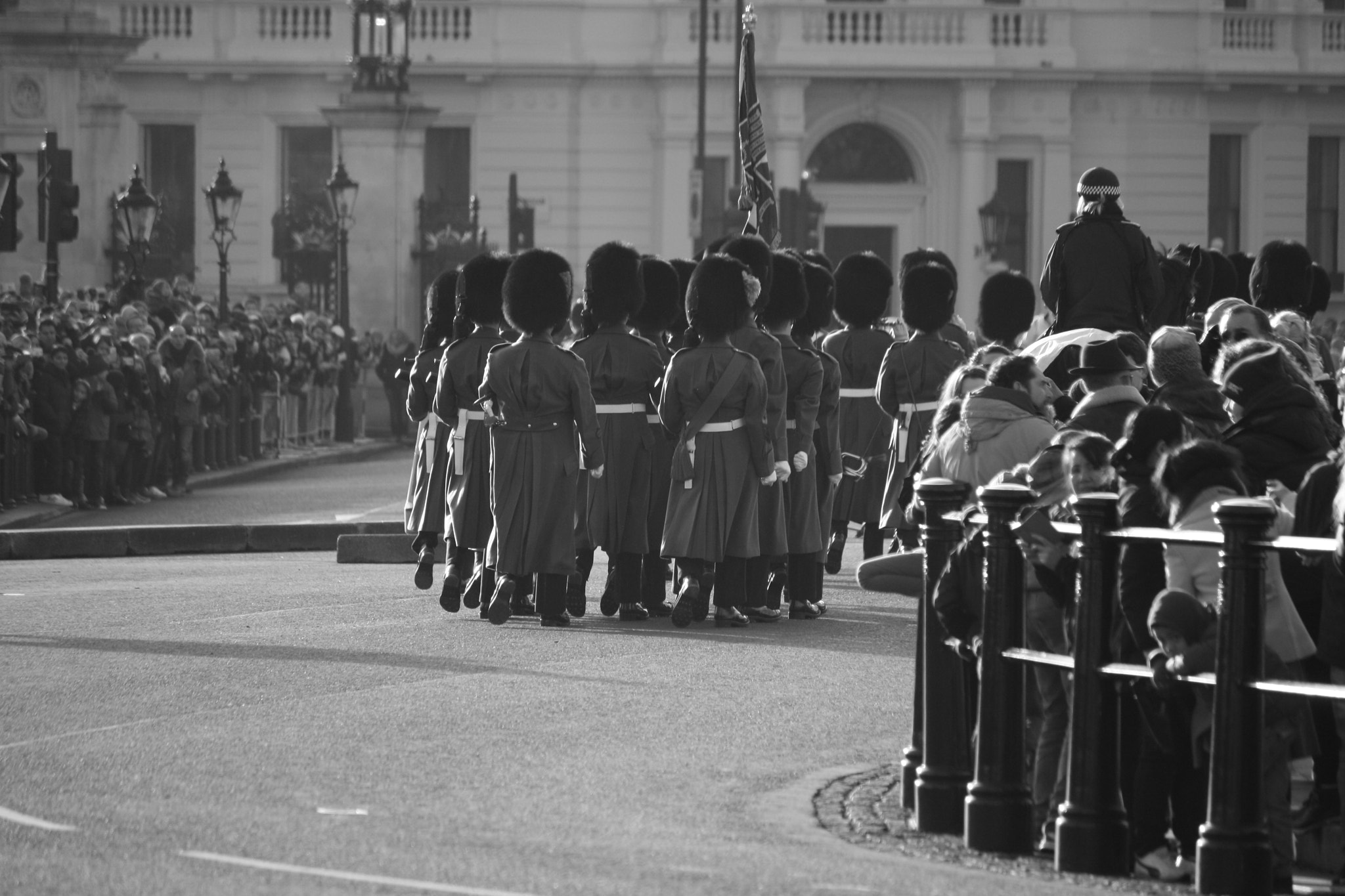 Canon EF-S 55-250mm F4-5.6 IS sample photo. Changing guard photography