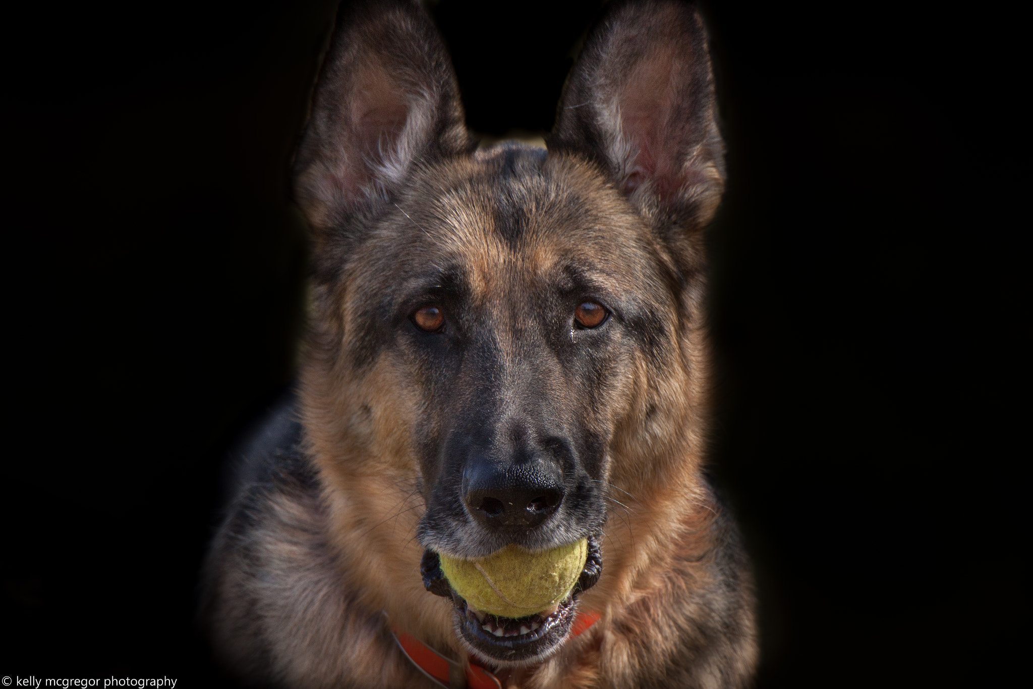 Canon EOS 50D sample photo. Love my ball photography