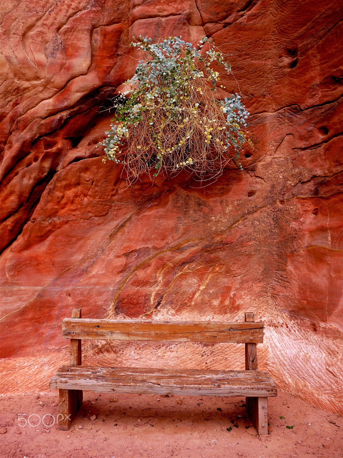 Panasonic Lumix G 14mm F2.5 ASPH sample photo. Petra, jordan. photography