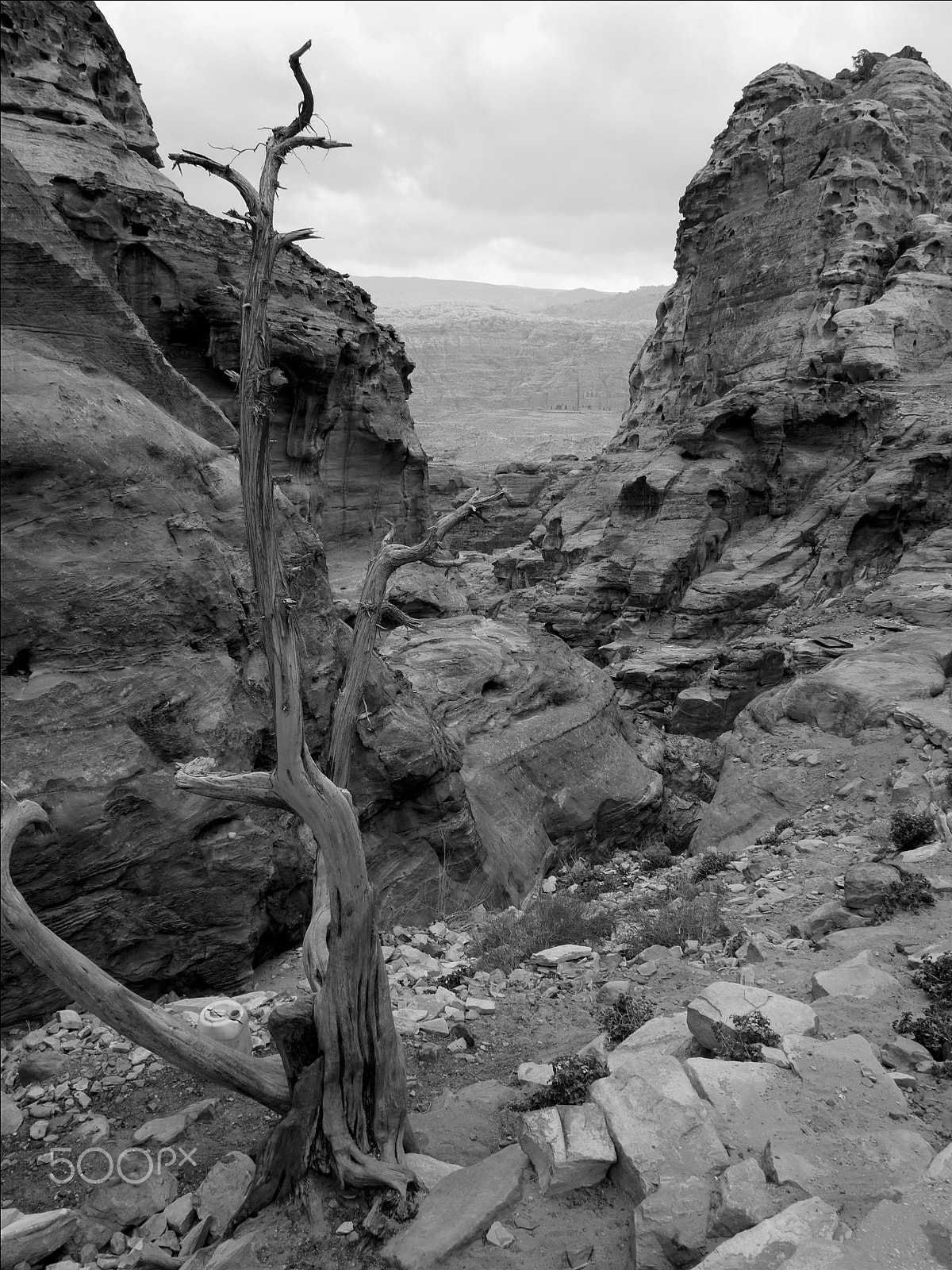 Panasonic Lumix G 14mm F2.5 ASPH sample photo. Petra, jordan. photography