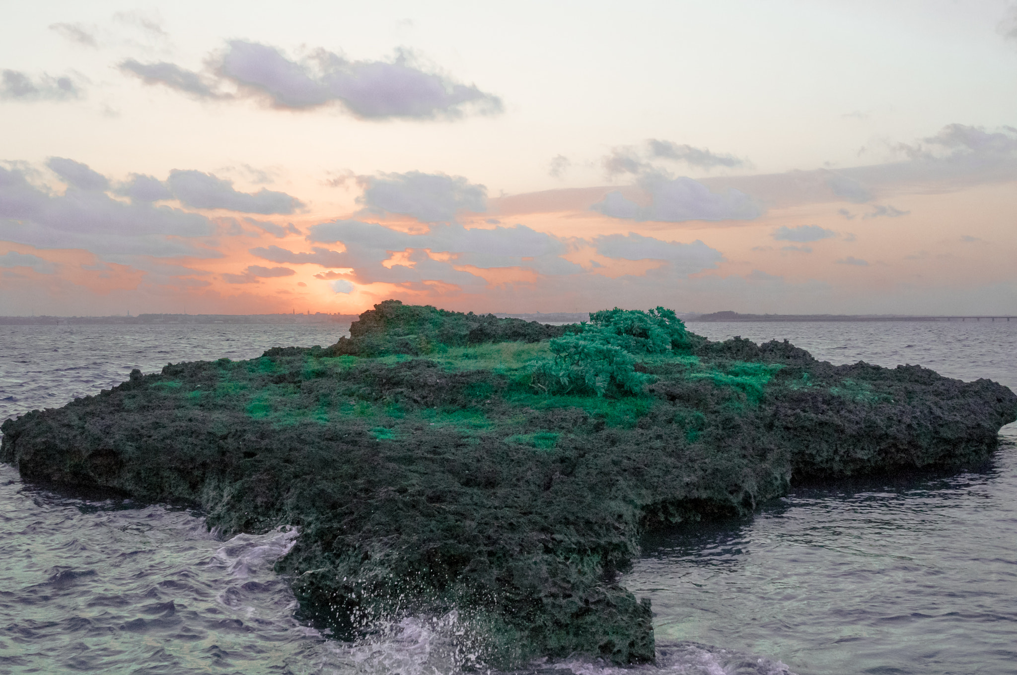 Sony a7 II + Sony FE 24-70mm F2.8 GM sample photo. New beginning photography